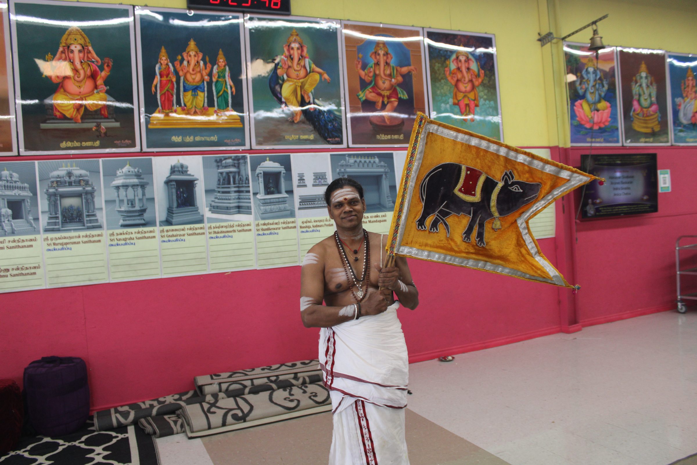 Festival 2024 photo