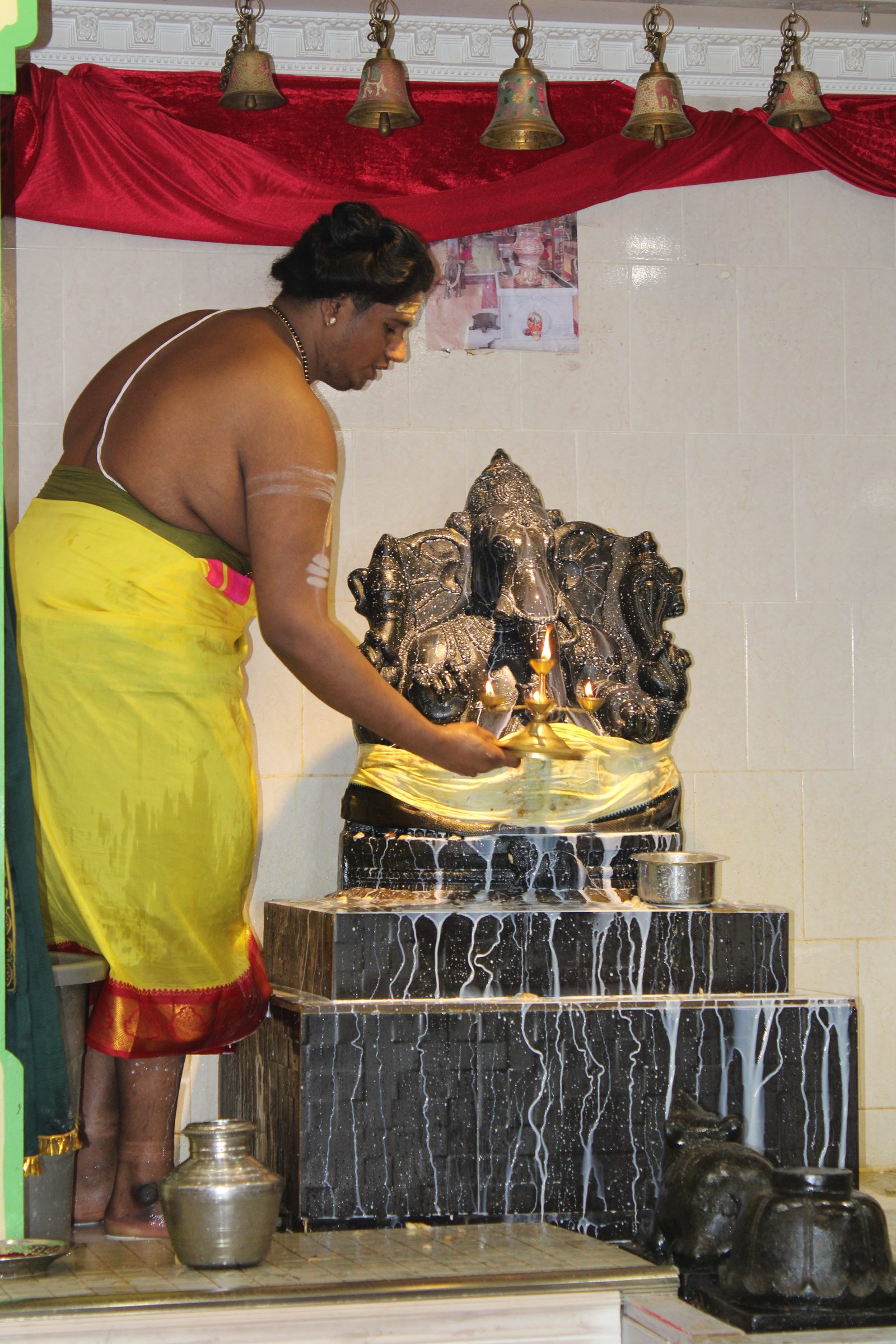 Festival 2024 photo
