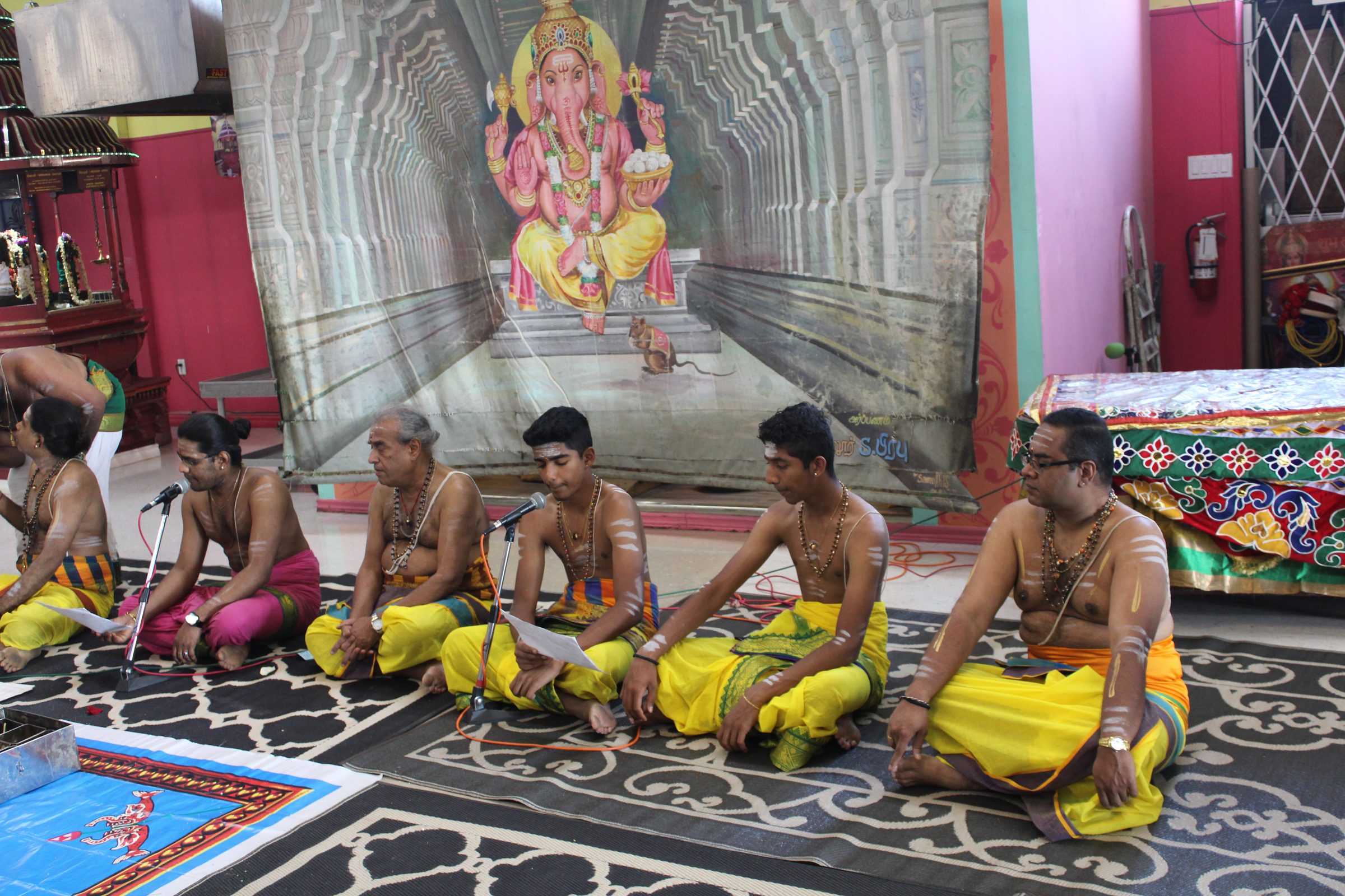 Festival 2024 photo