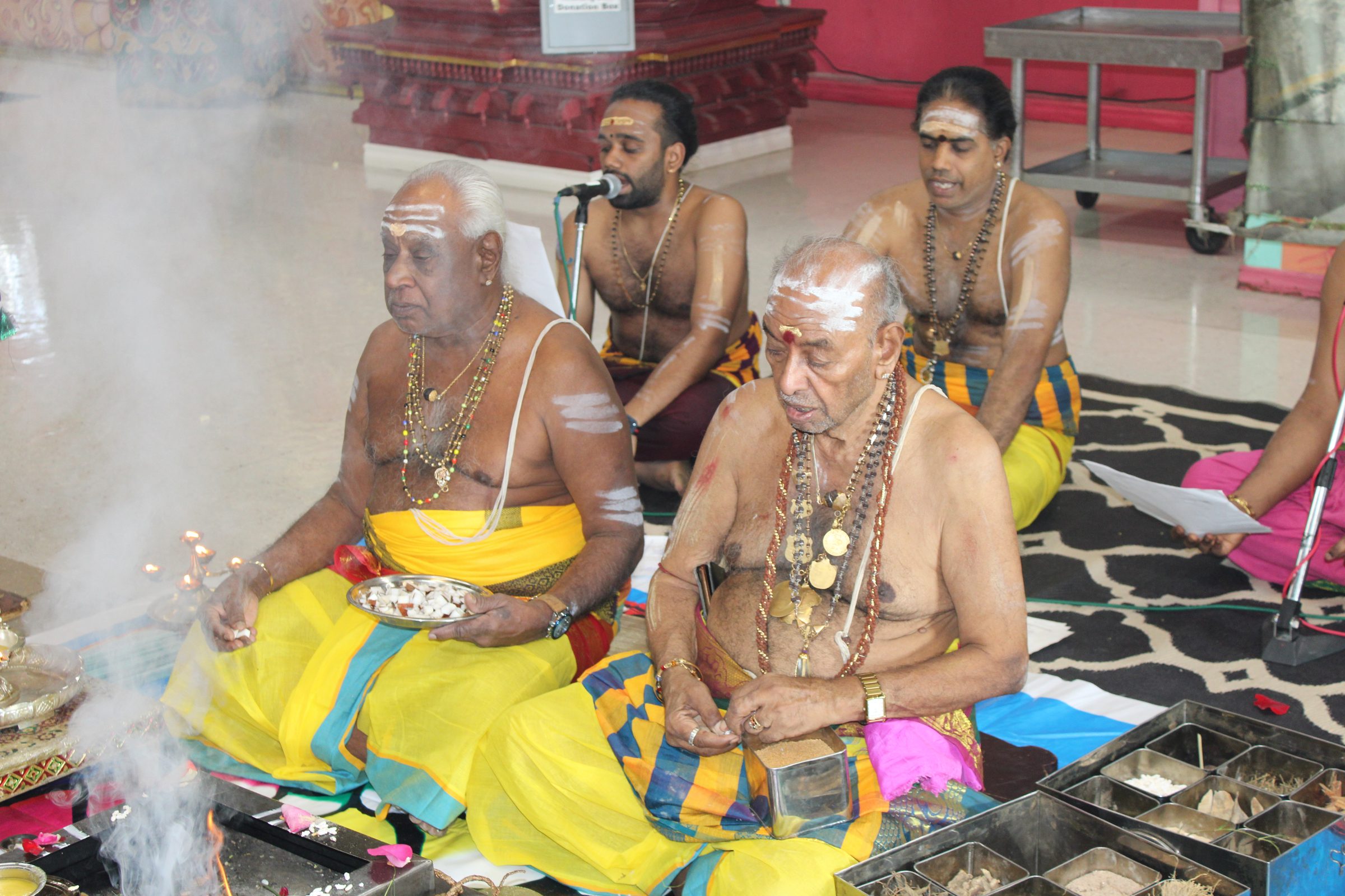 Festival 2024 photo