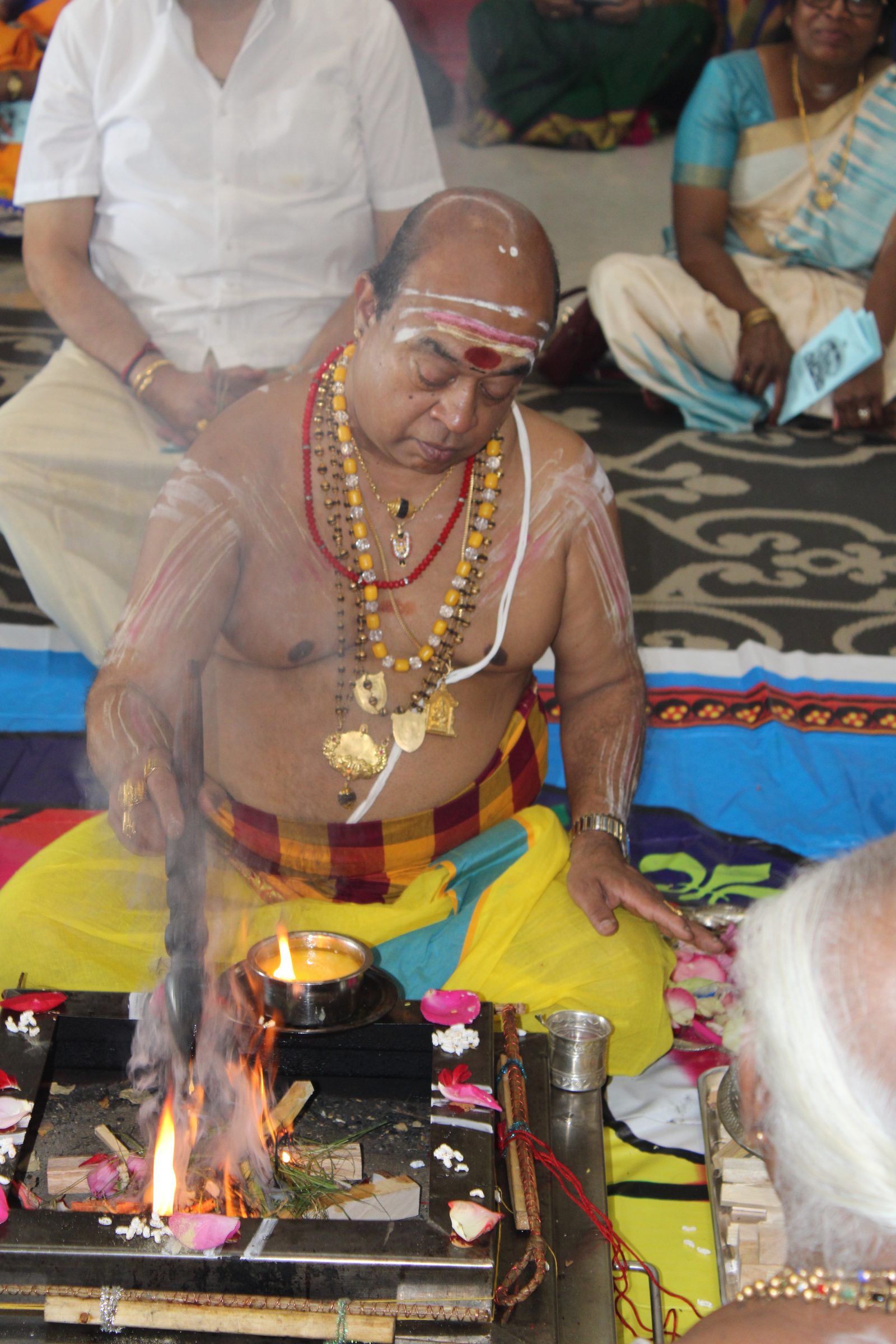 Festival 2024 photo