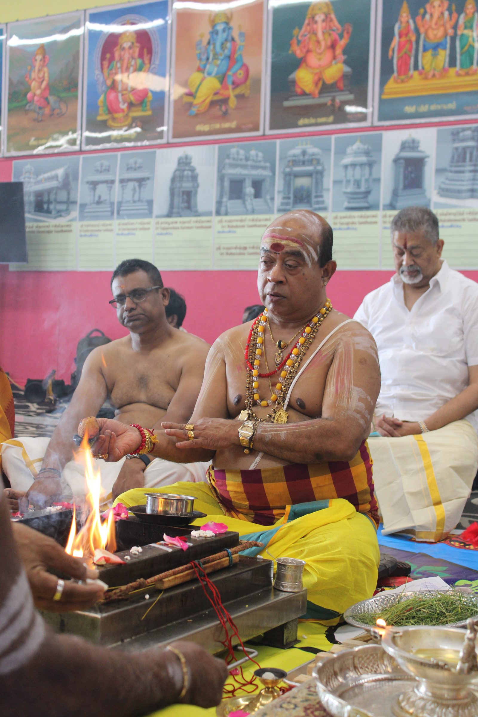 Festival 2024 photo