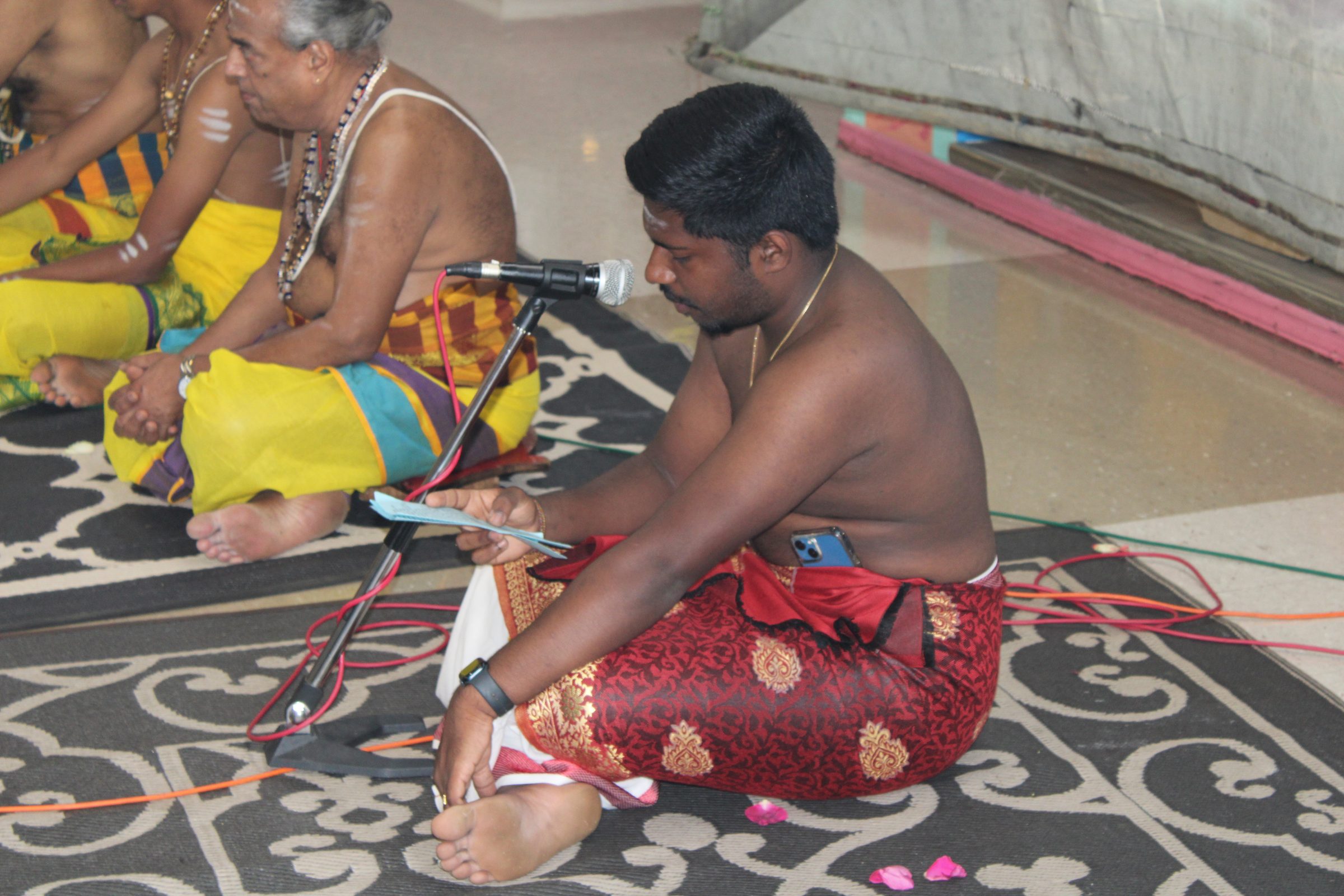 Festival 2024 photo