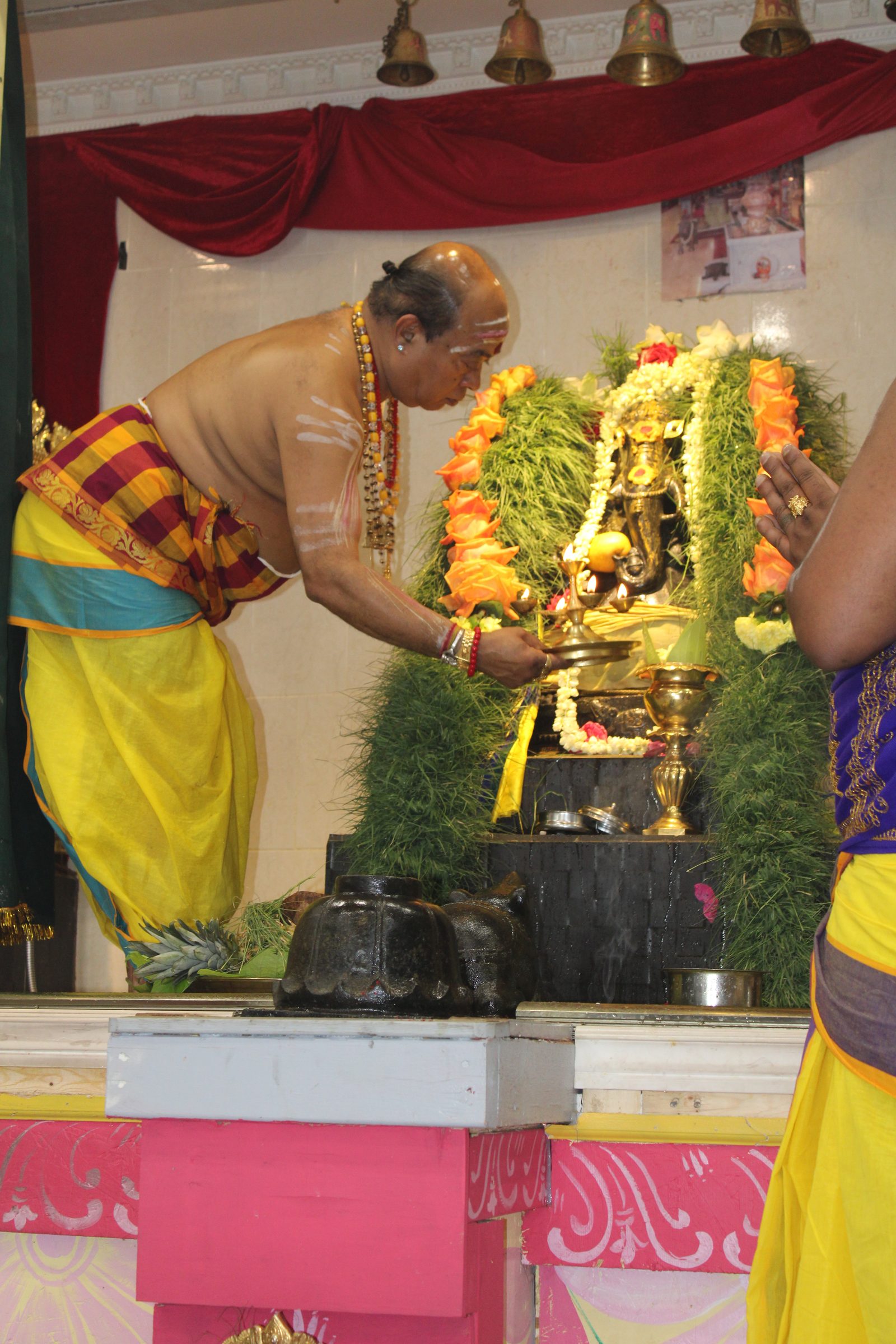 Festival 2024 photo