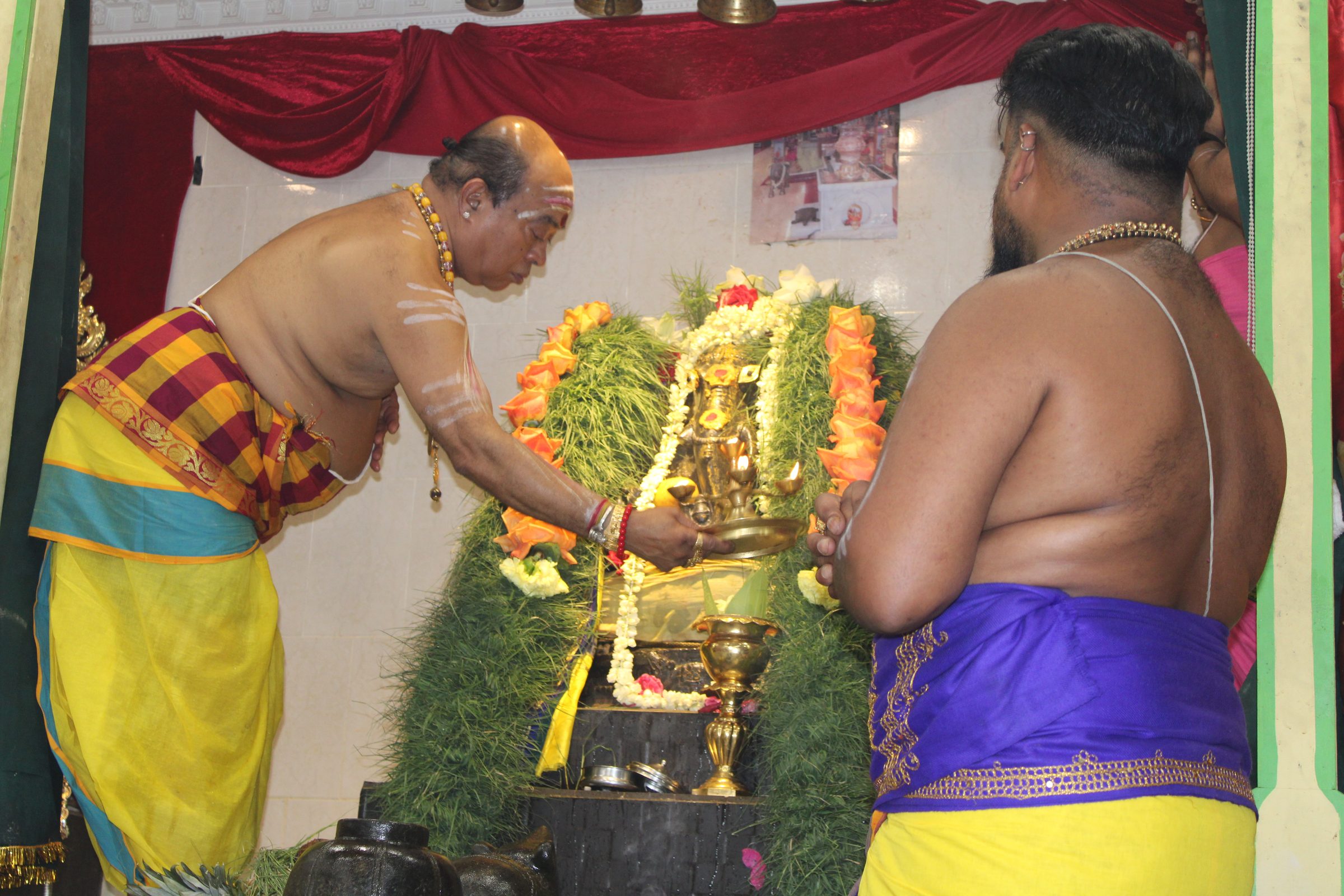 Festival 2024 photo