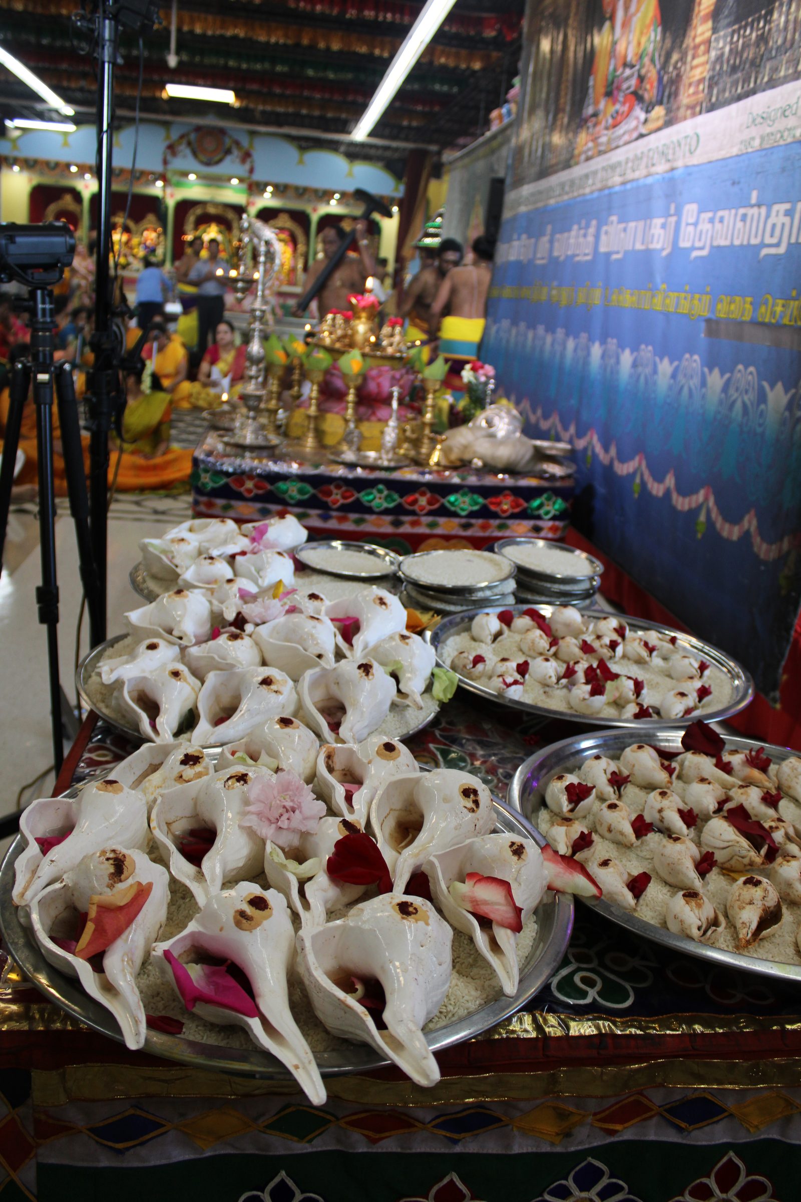 Festival 2024 photo