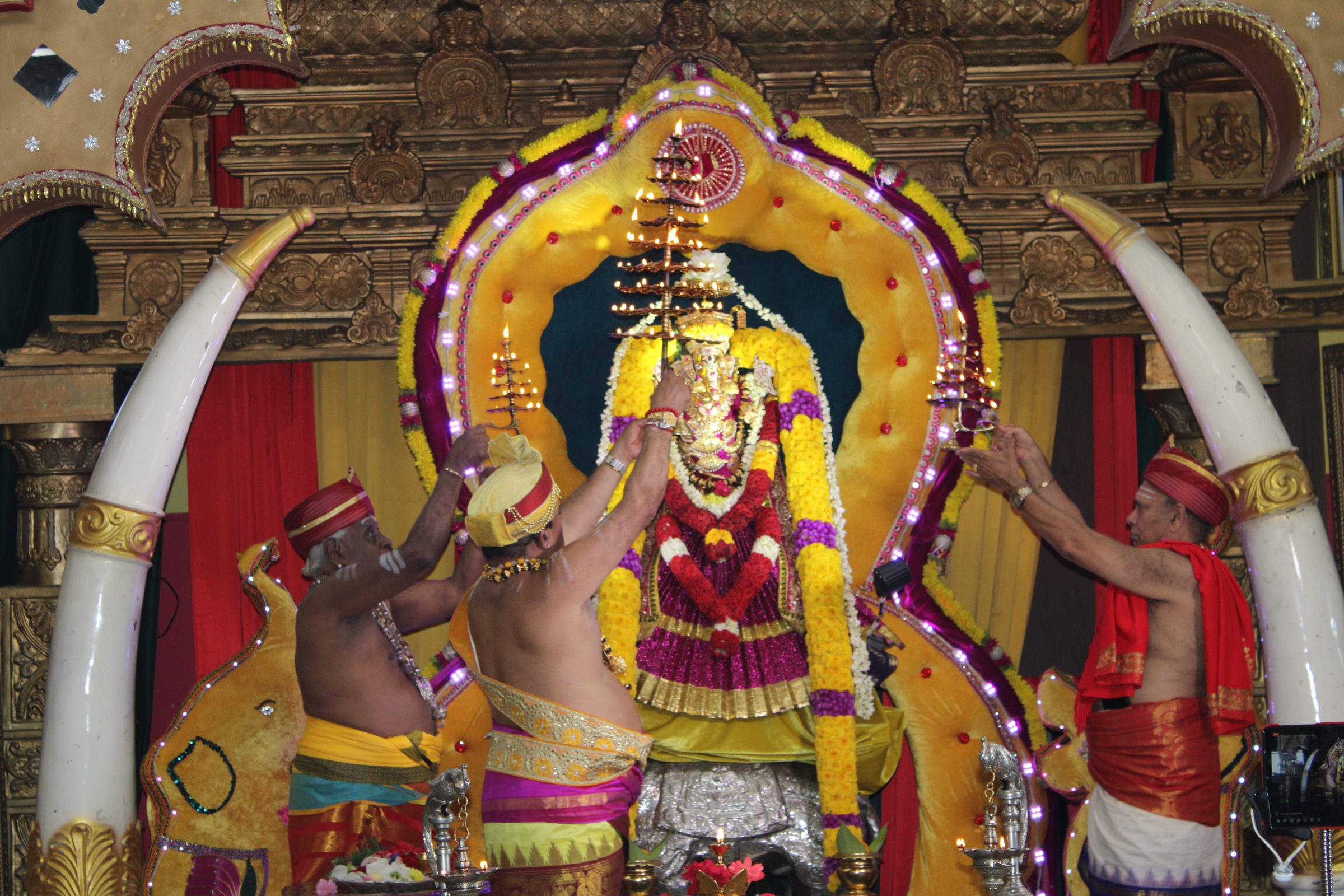 Festival 2024 photo