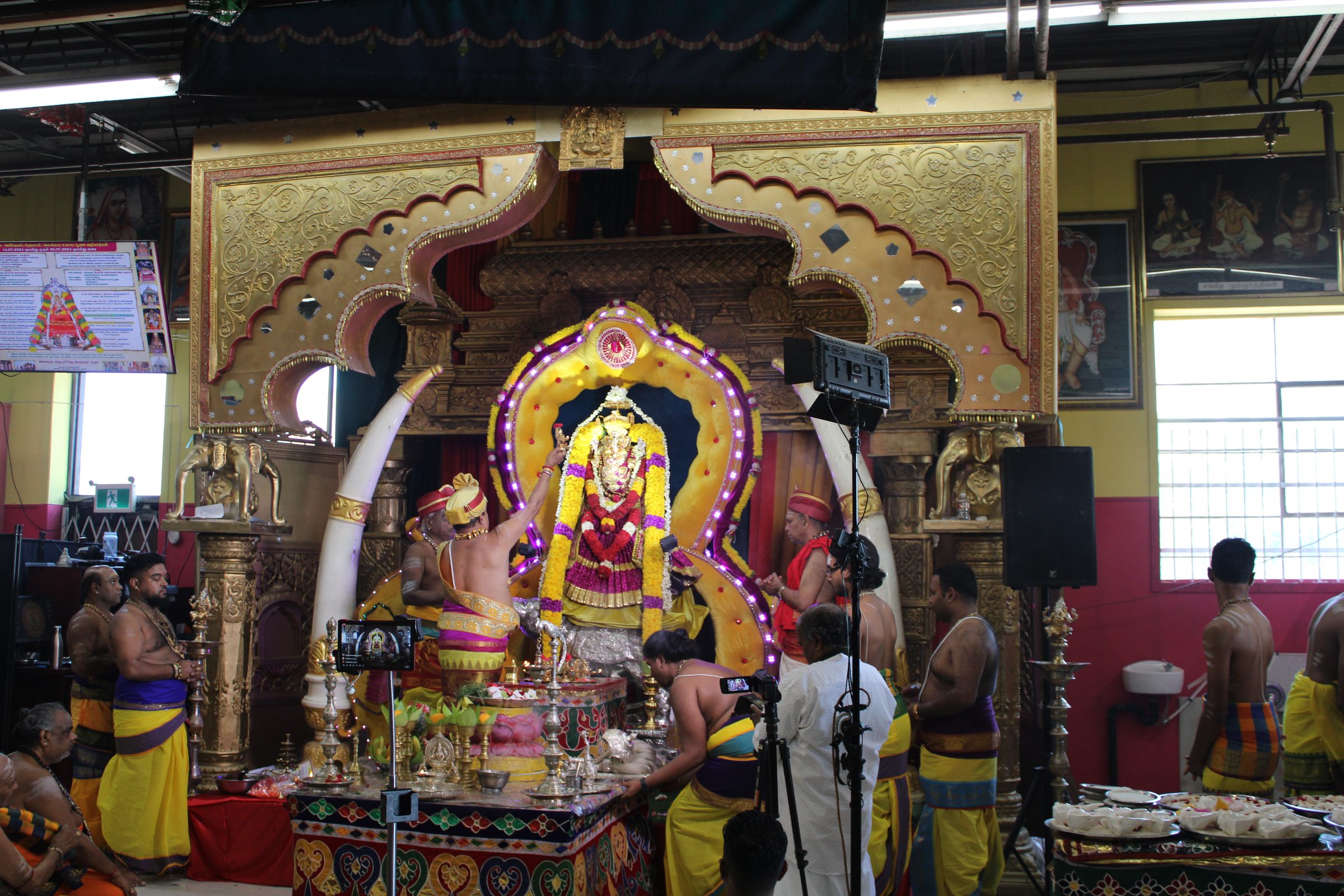 Festival 2024 photo