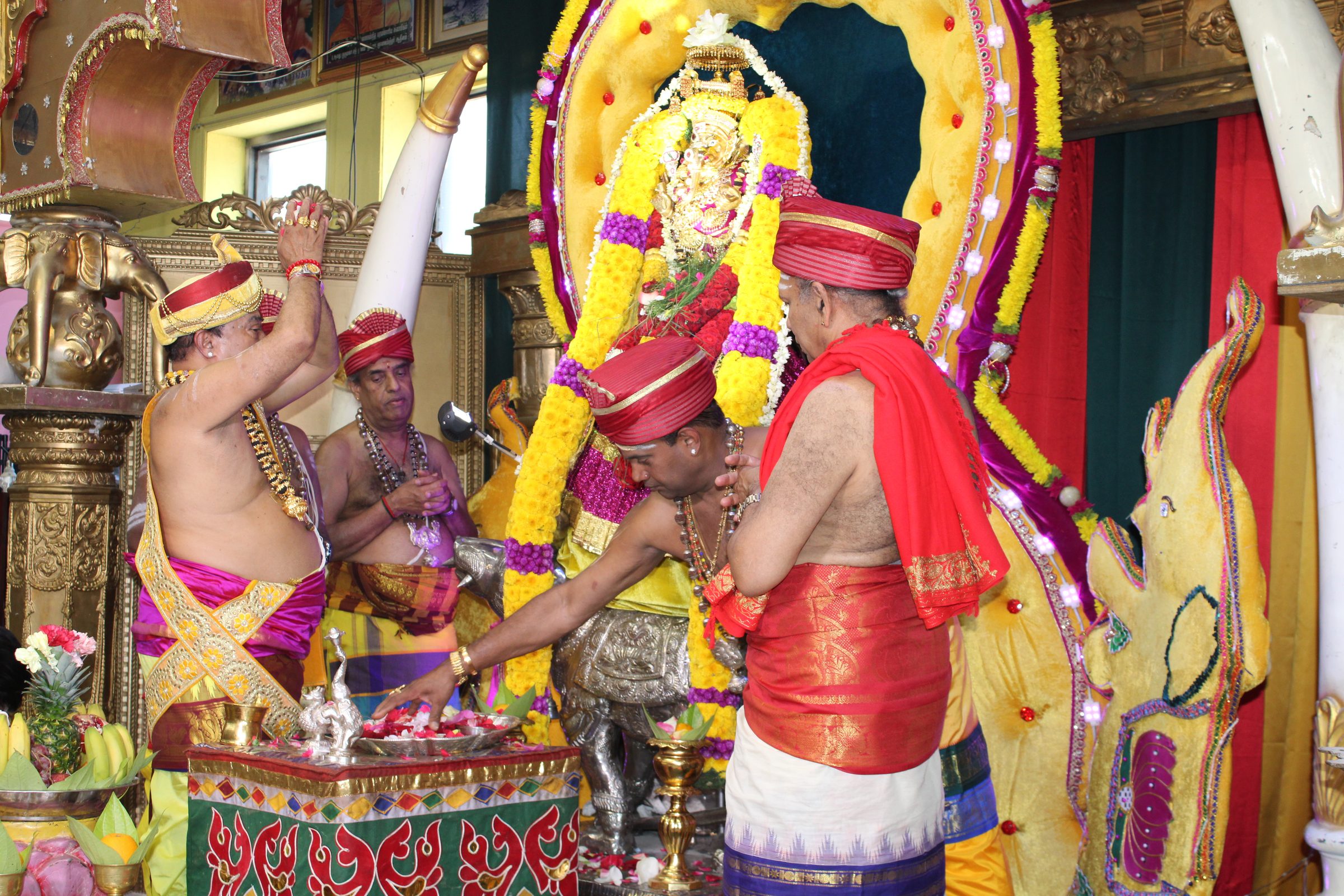 Festival 2024 photo