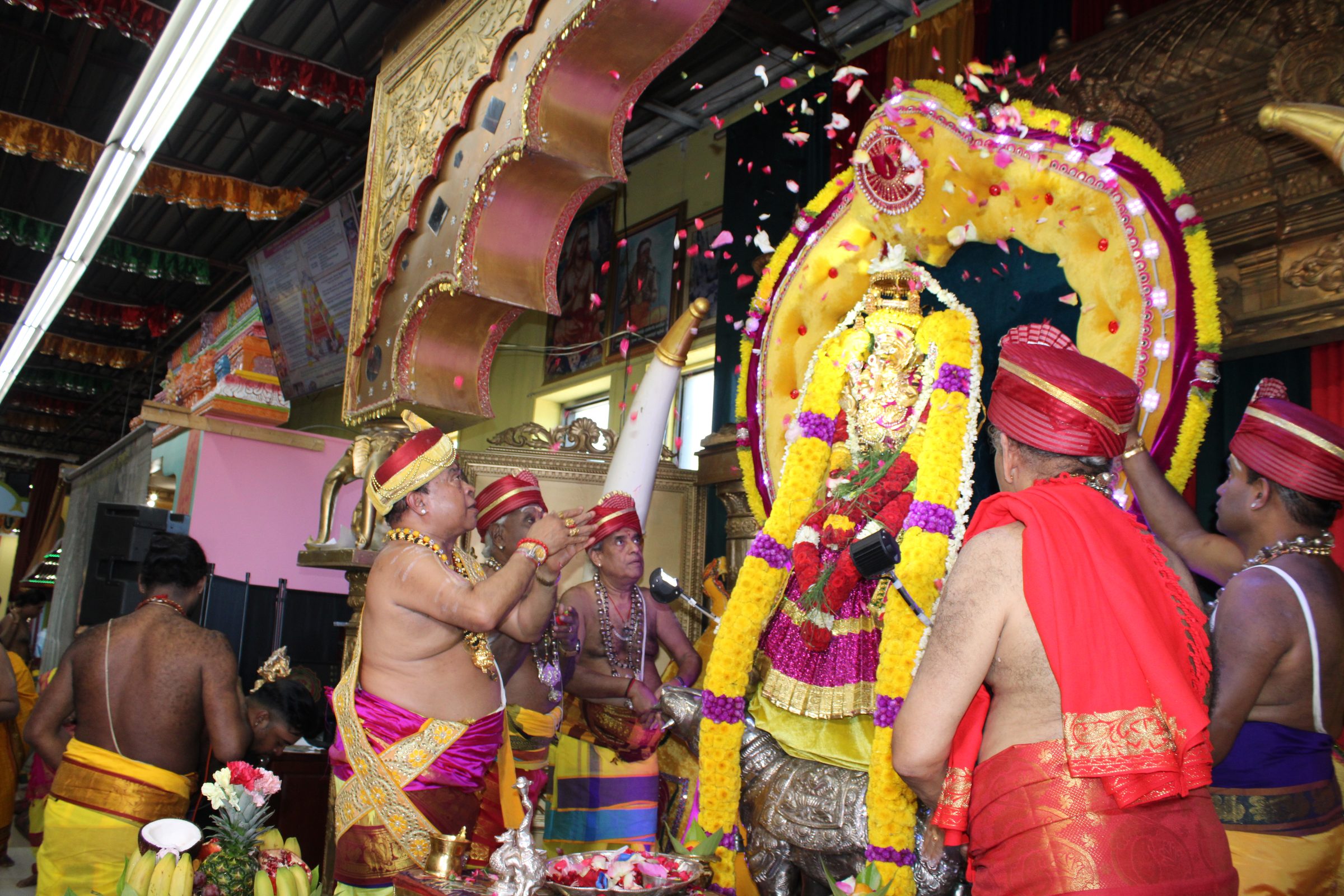 Festival 2024 photo