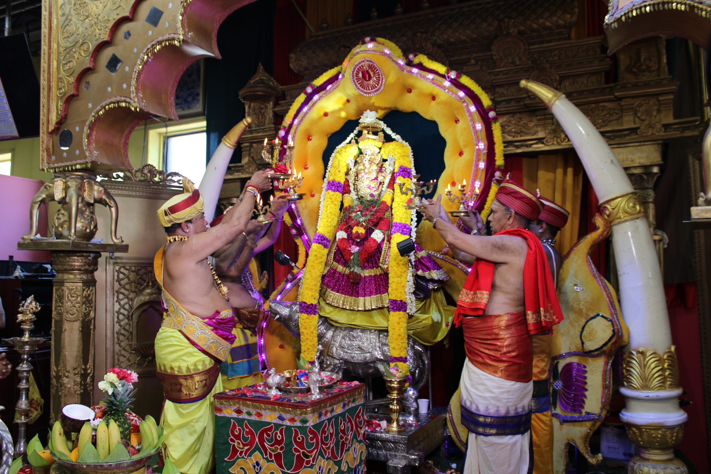 Festival 2024 photo