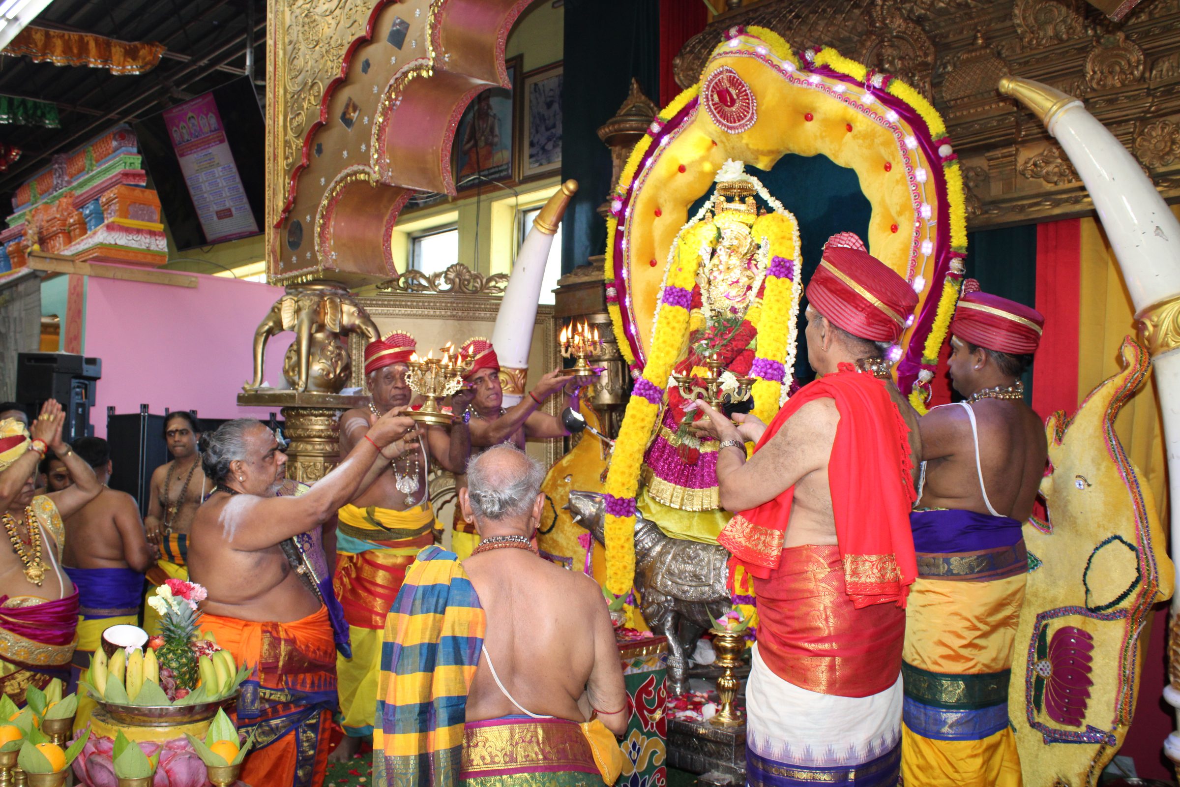Festival 2024 photo