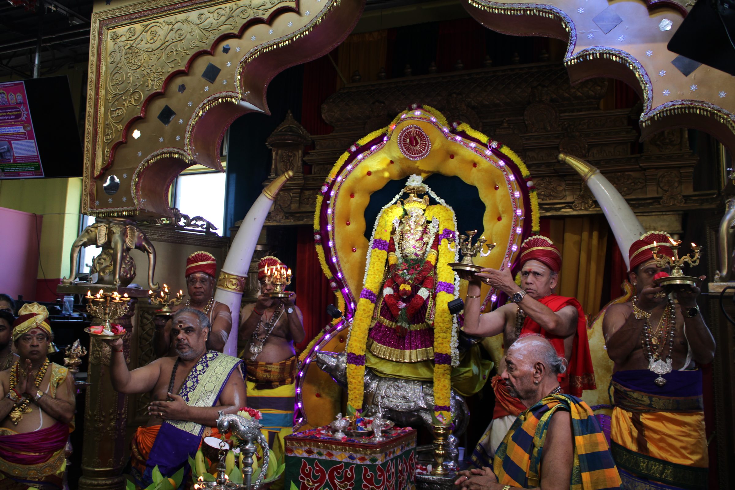 Festival 2024 photo