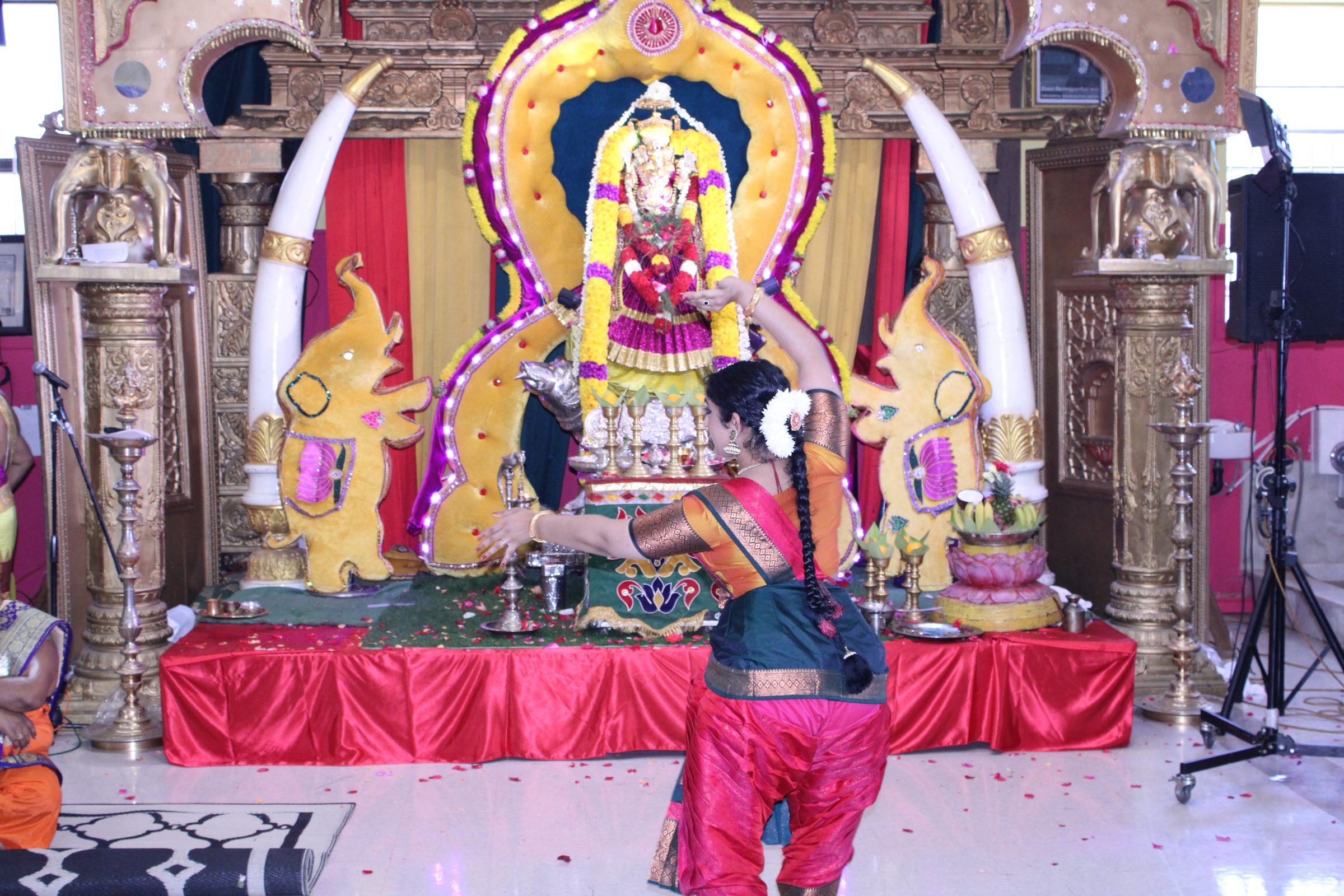 Festival 2024 photo