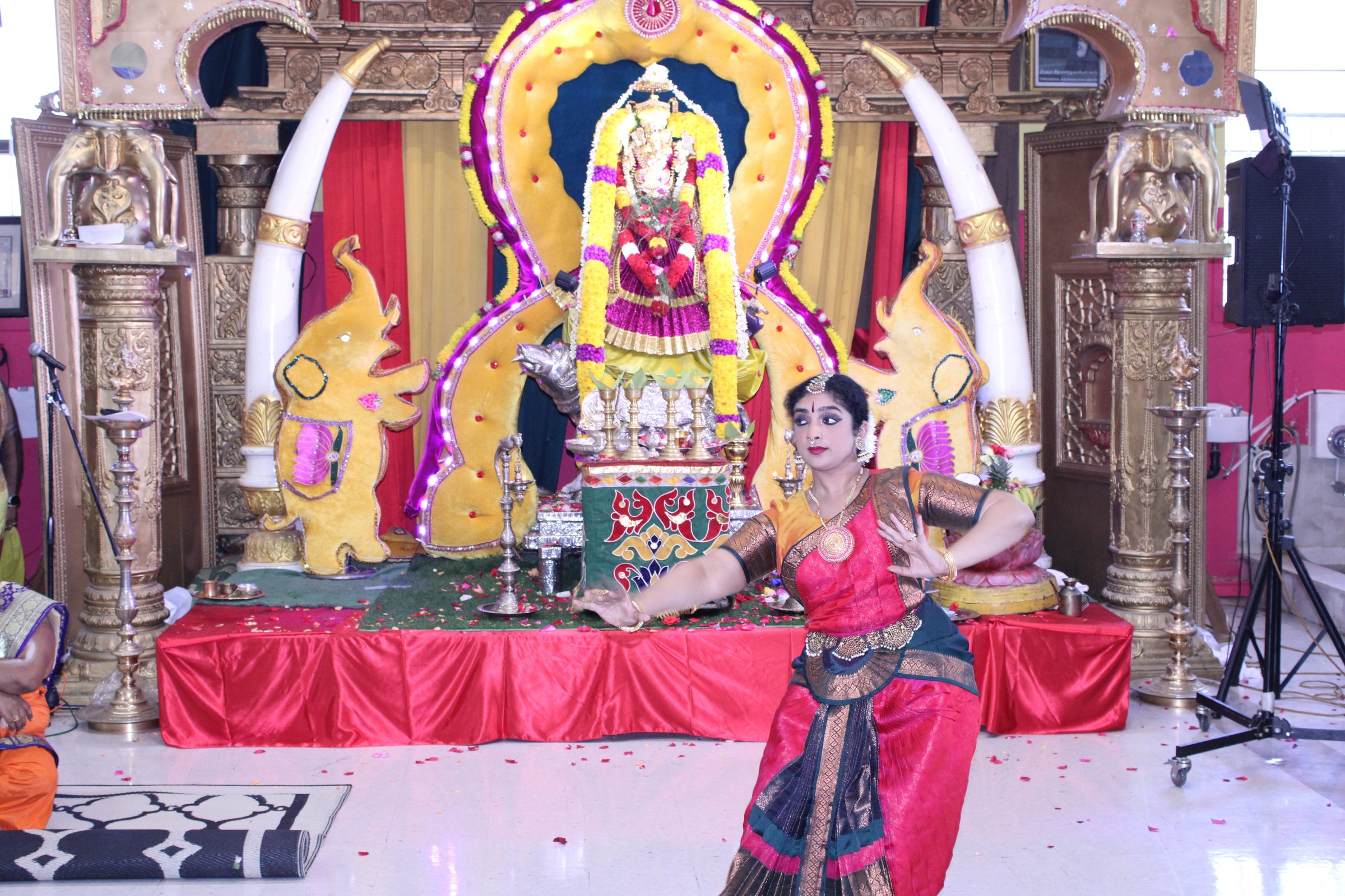 Festival 2024 photo