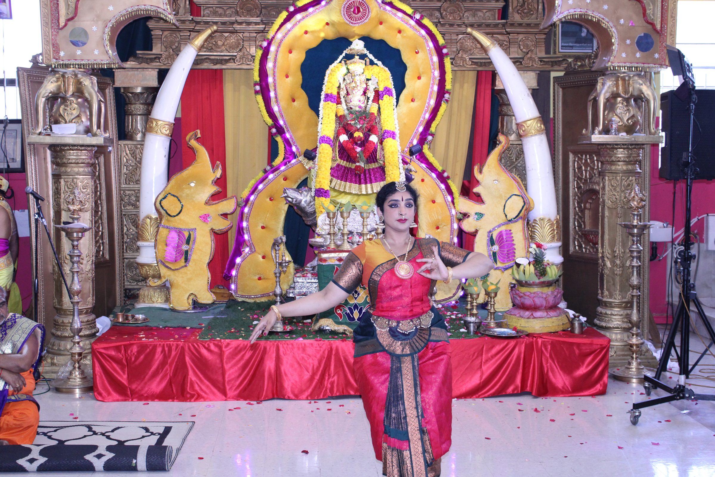 Festival 2024 photo