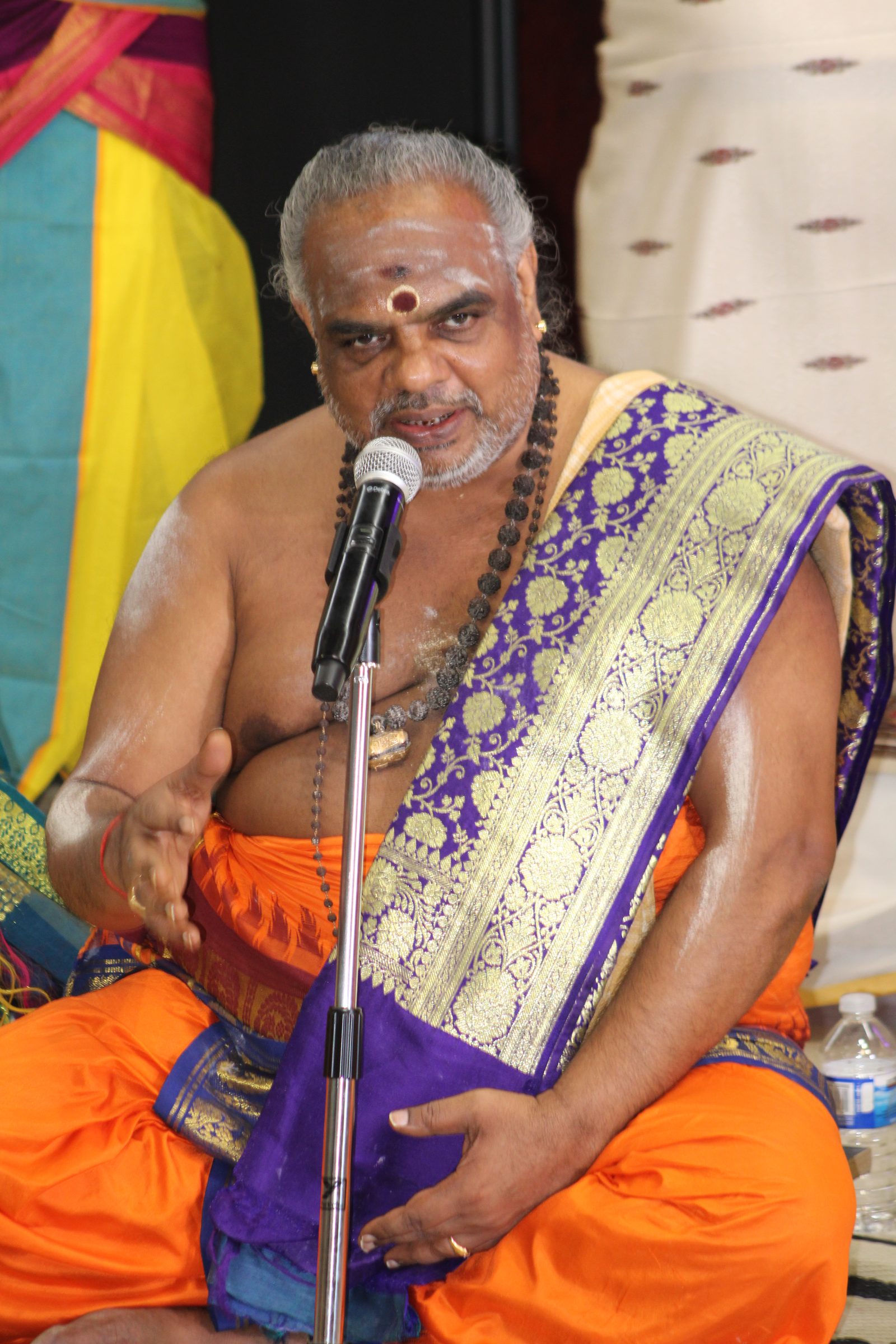 Festival 2024 photo