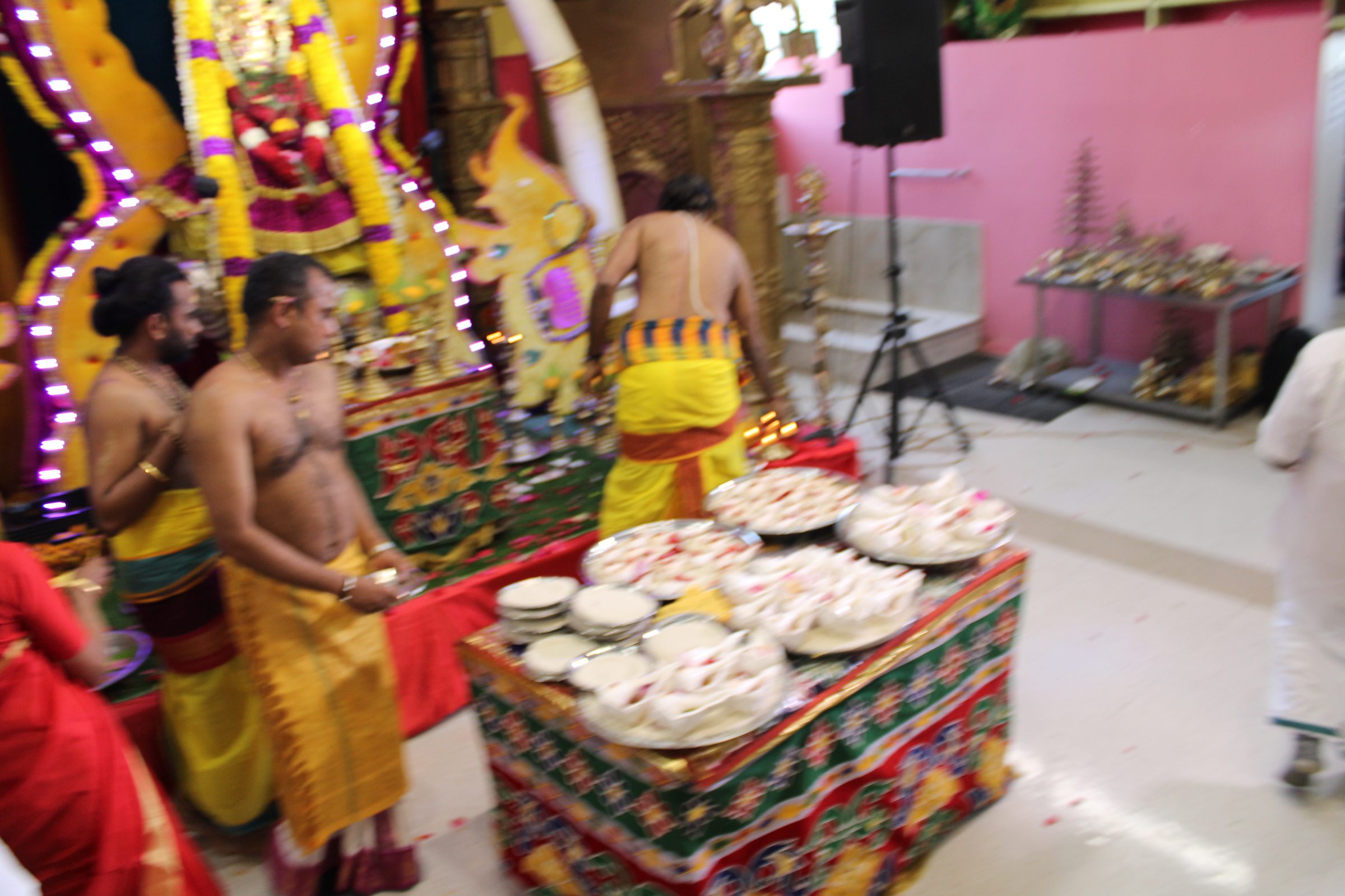 Festival 2024 photo