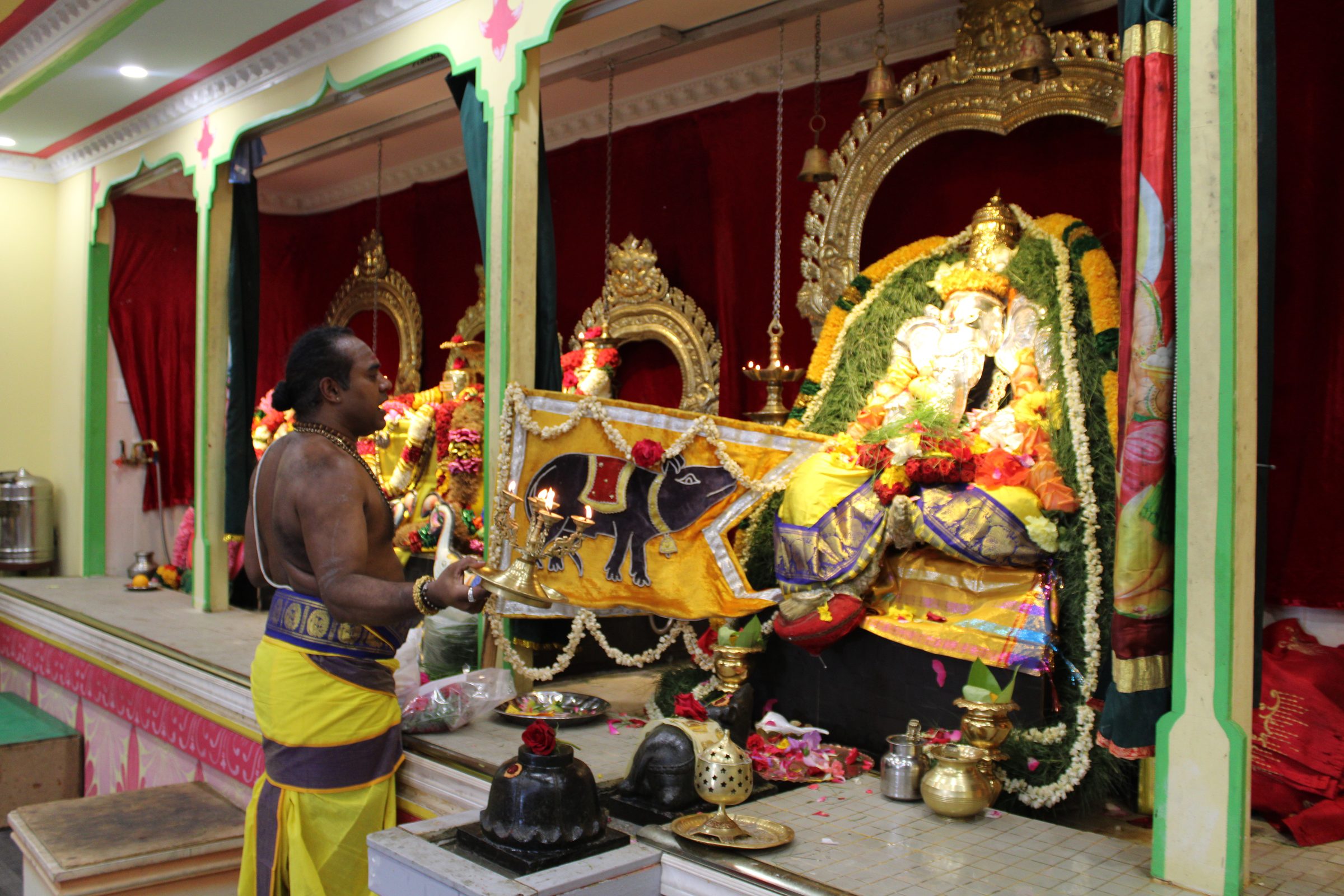 Festival 2024 photo