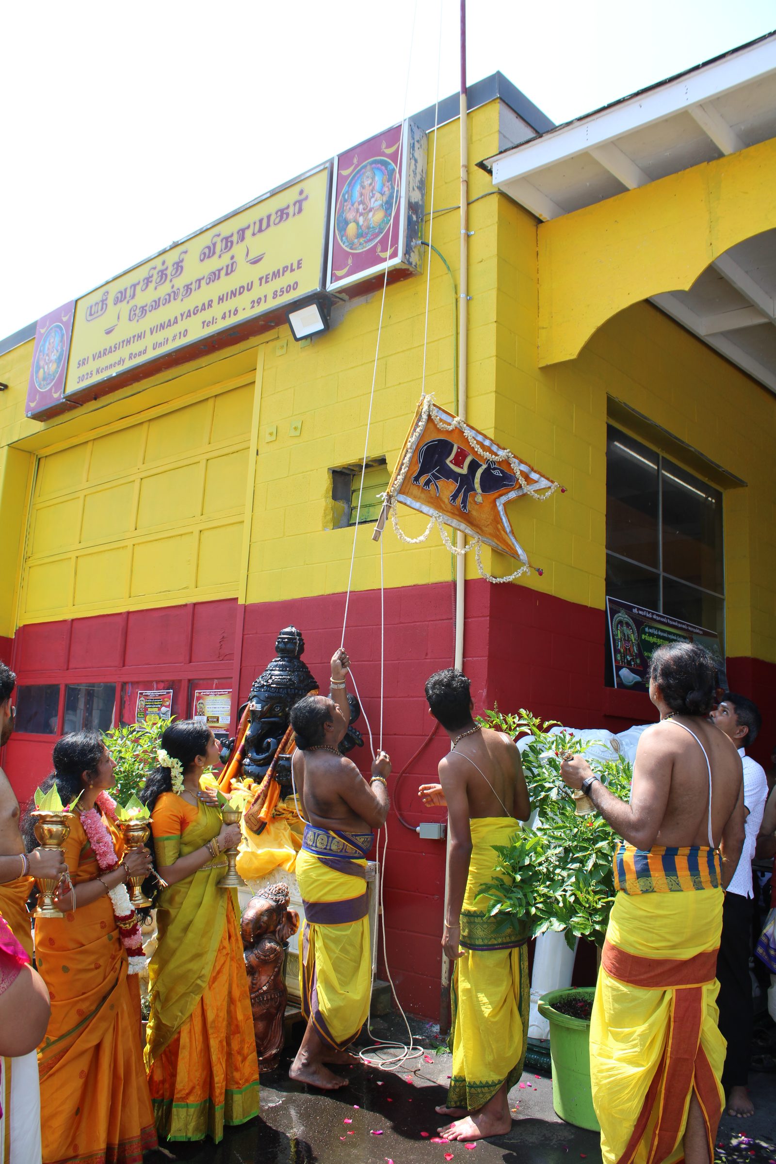 Festival 2024 photo