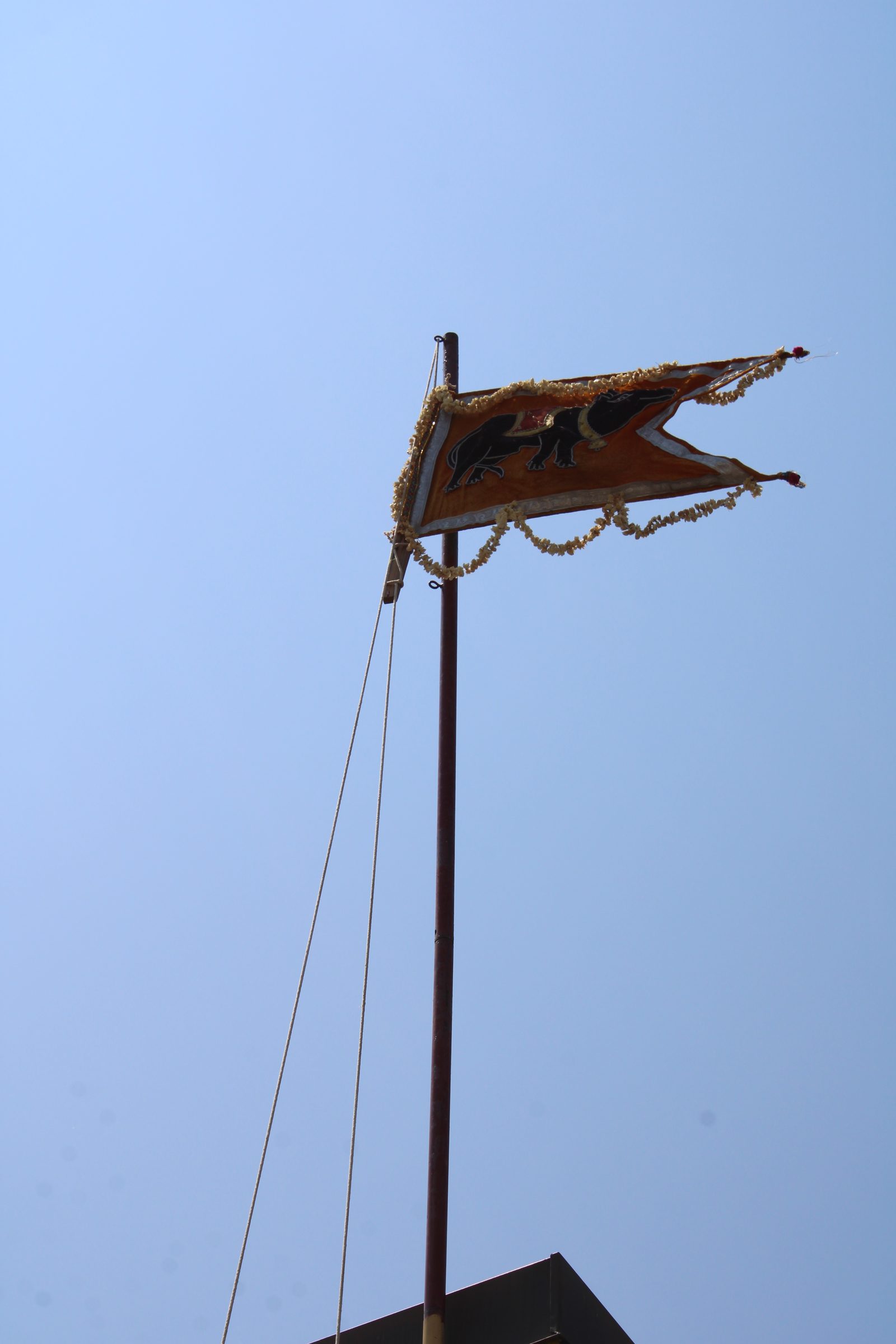 Festival 2024 photo