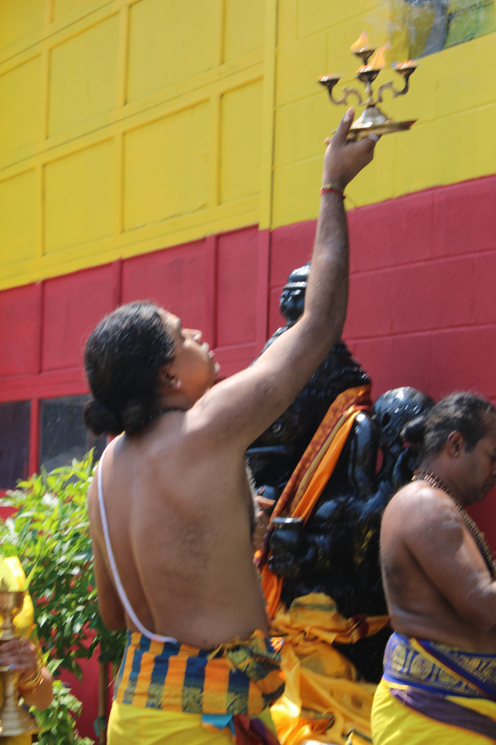 Festival 2024 photo