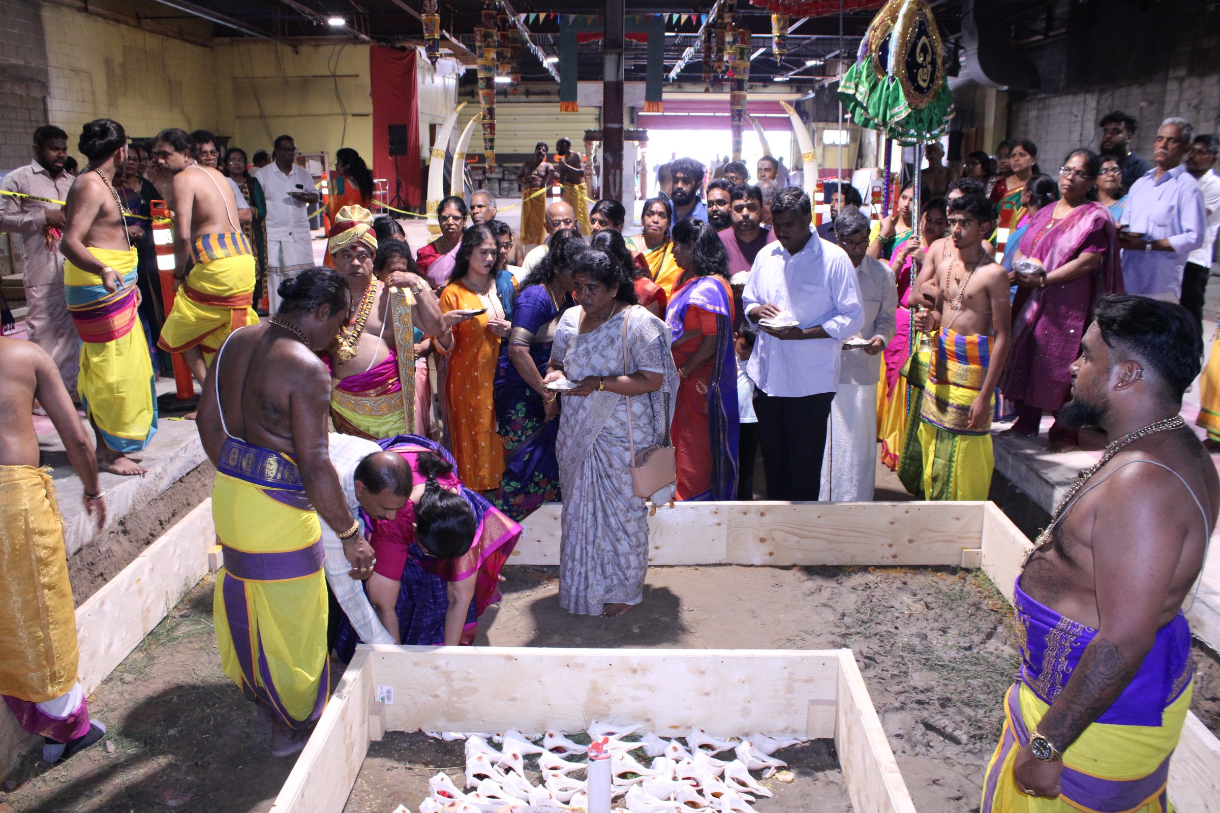 Festival 2024 photo