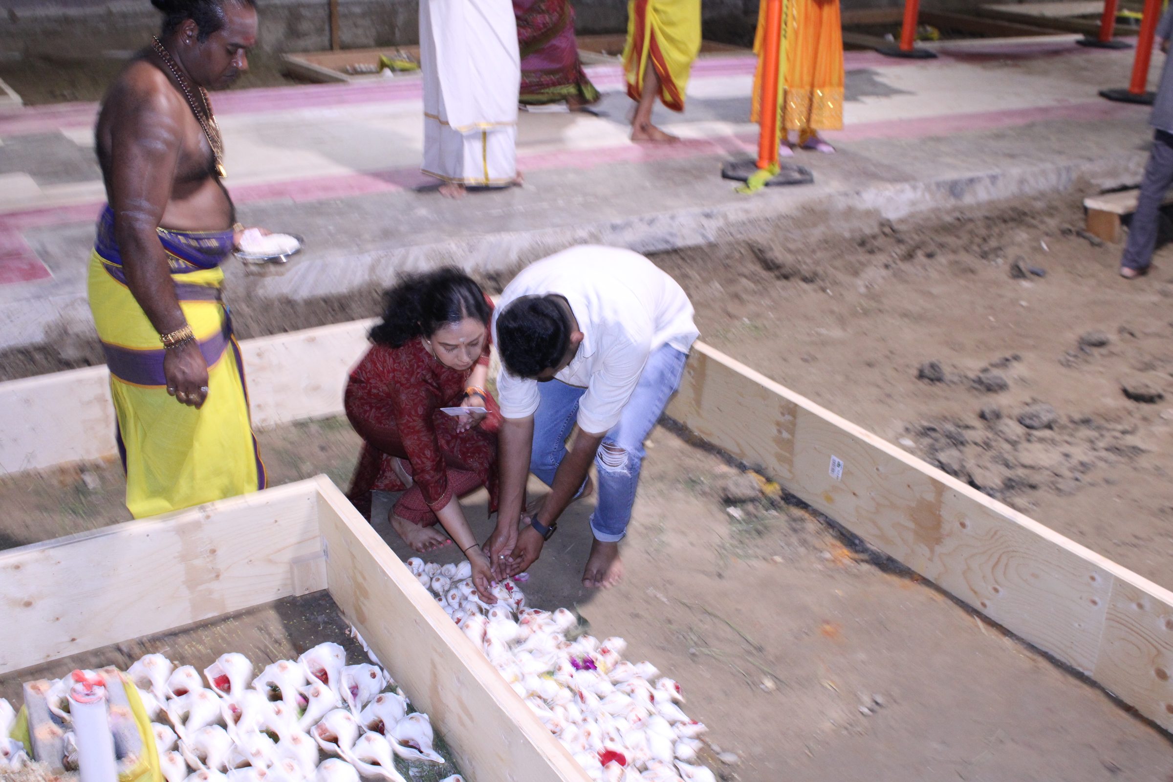 Festival 2024 photo