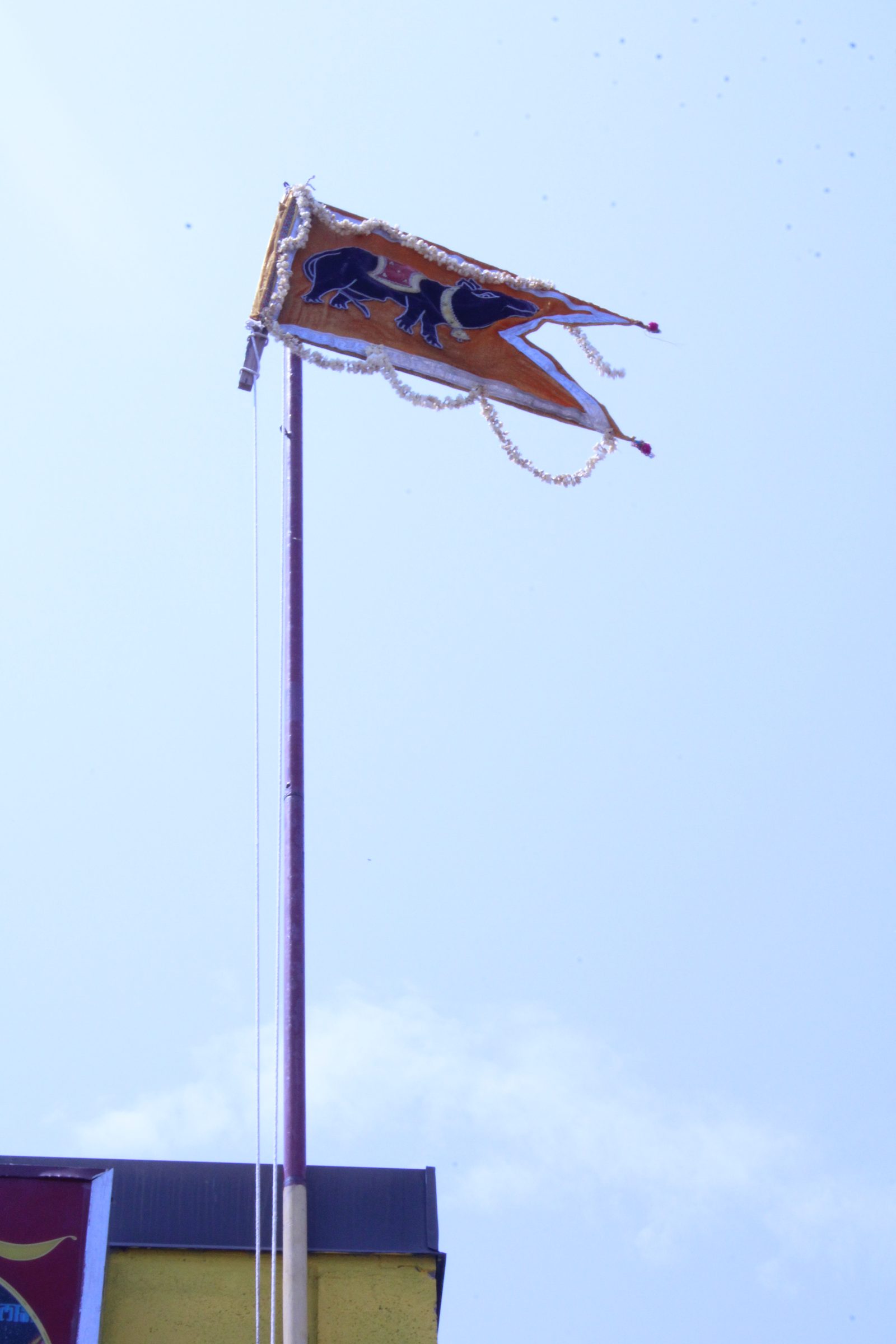 Festival 2024 photo