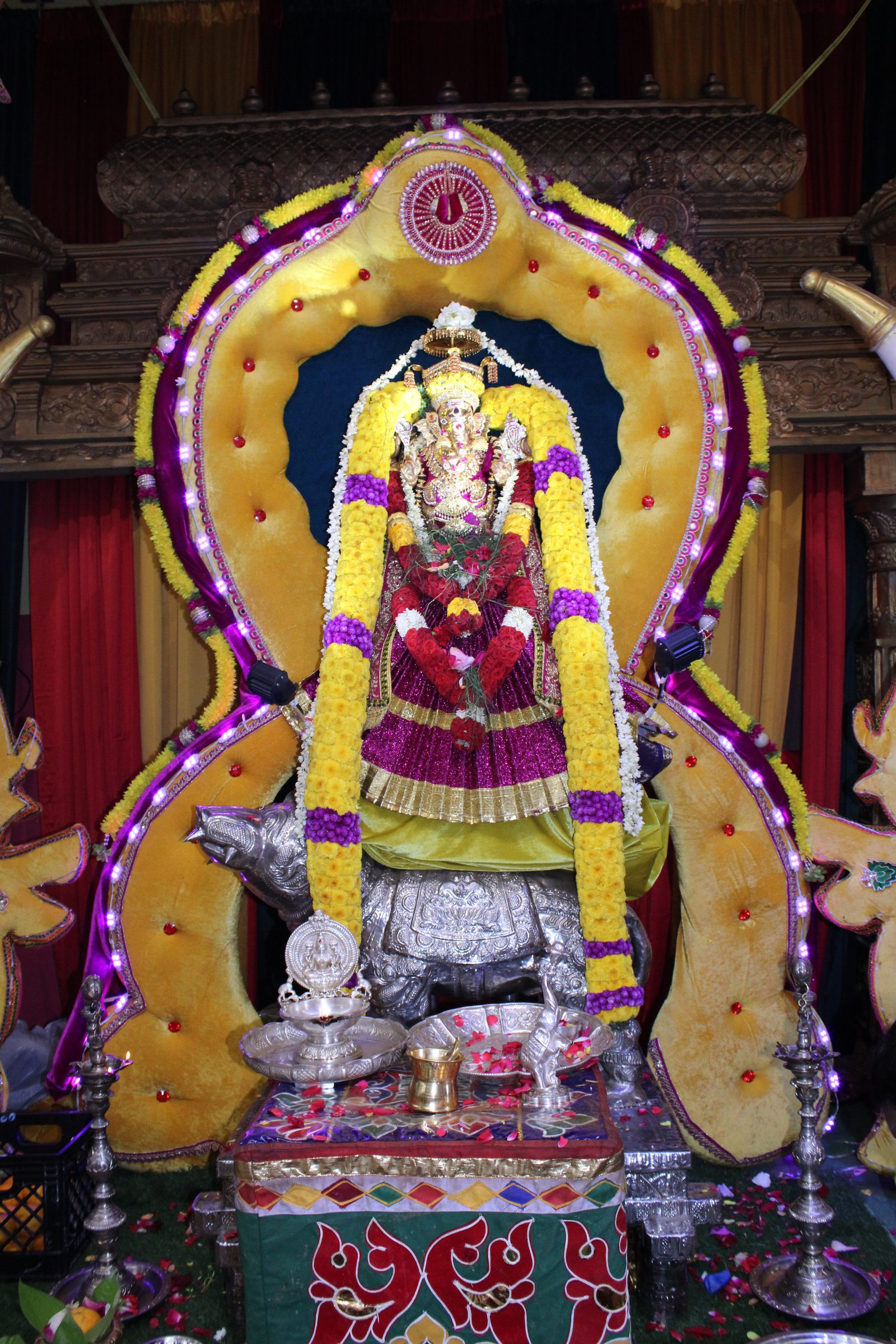 Festival 2024 photo