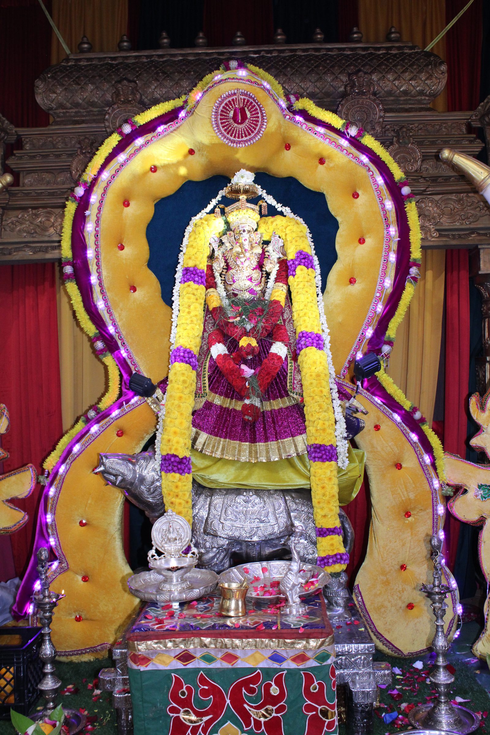 Festival 2024 photo