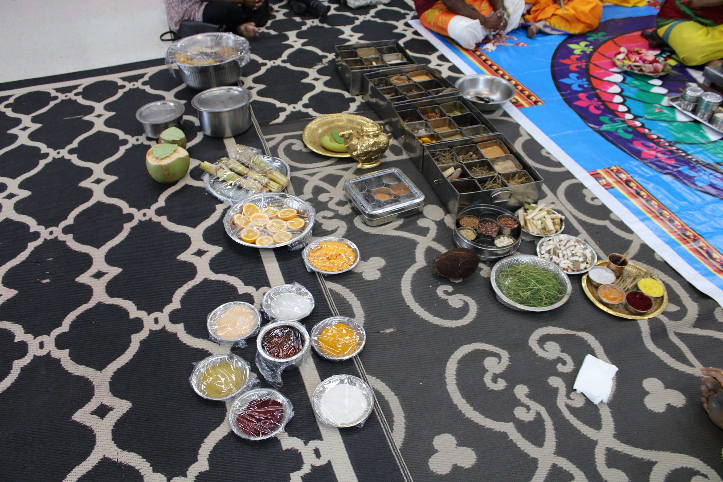 Festival 2024 photo
