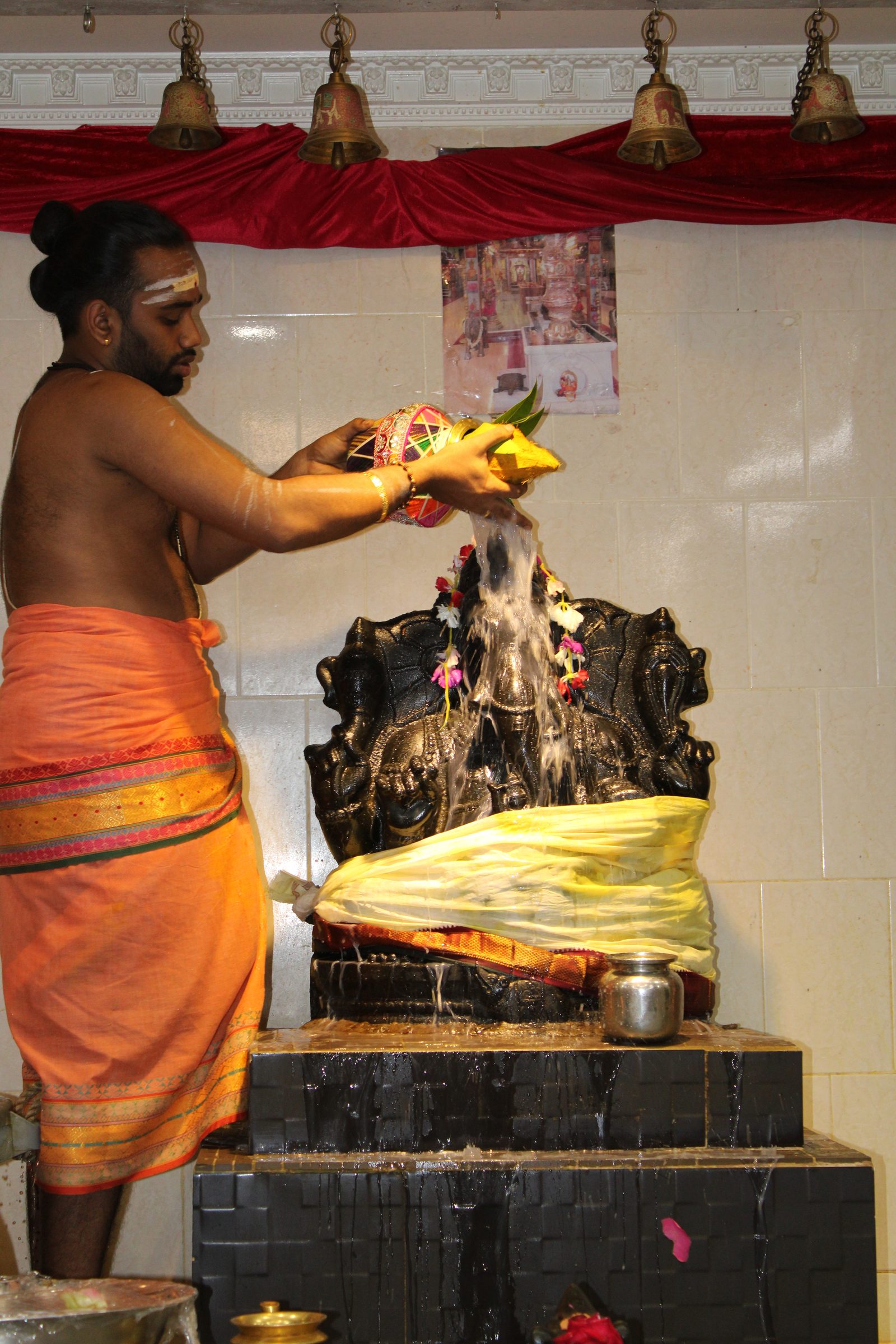 Festival 2024 photo