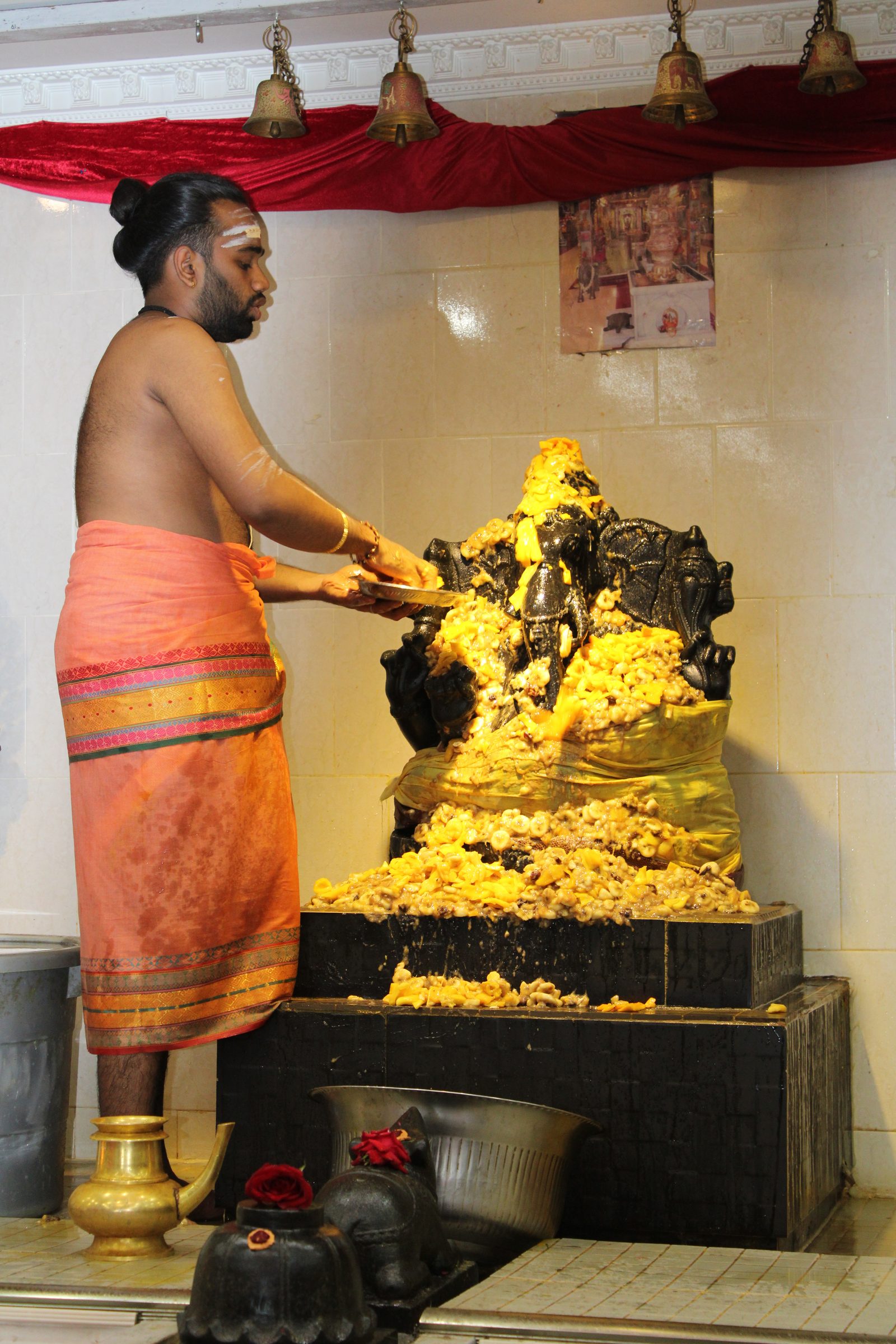 Festival 2024 photo