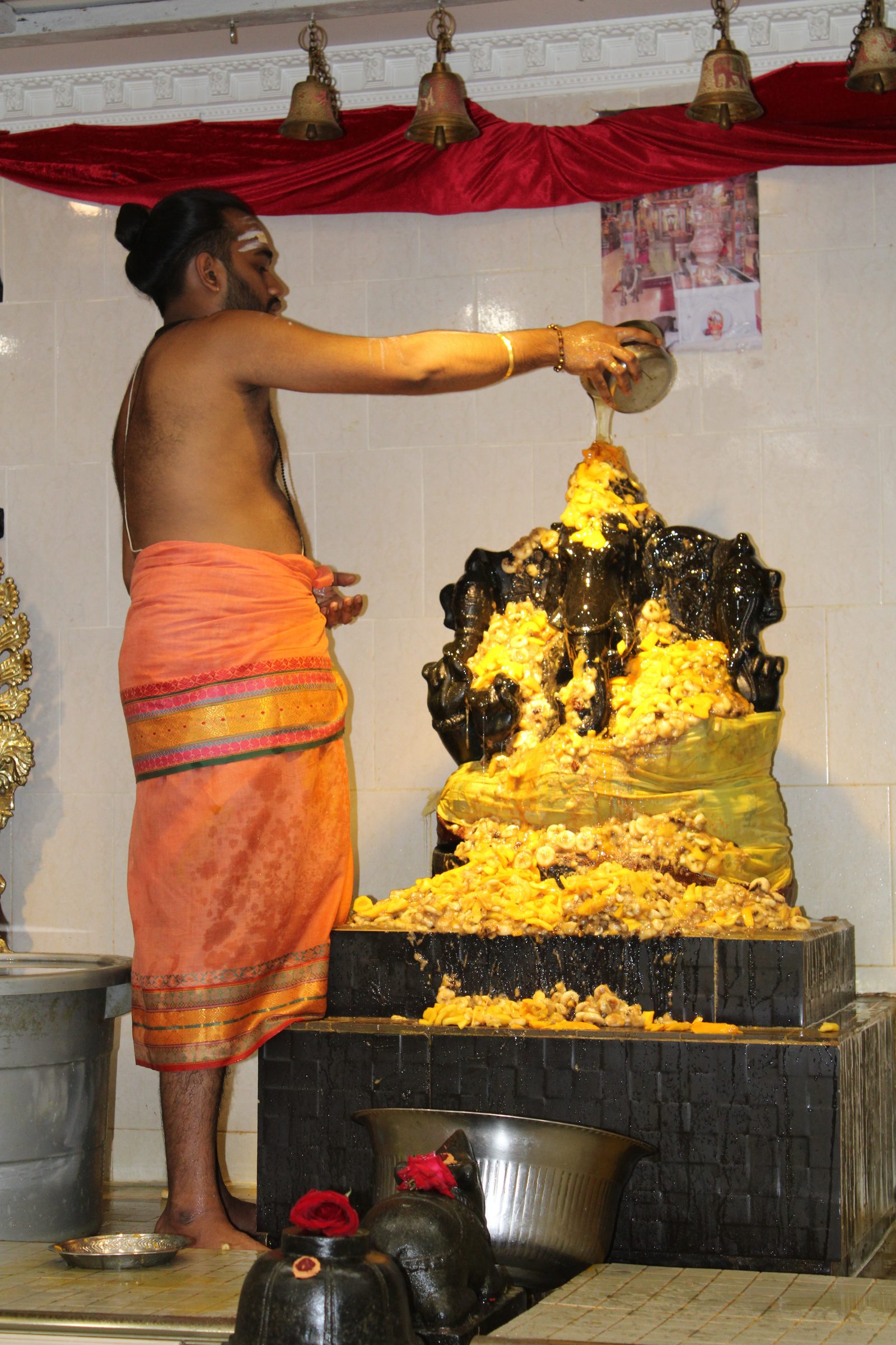 Festival 2024 photo