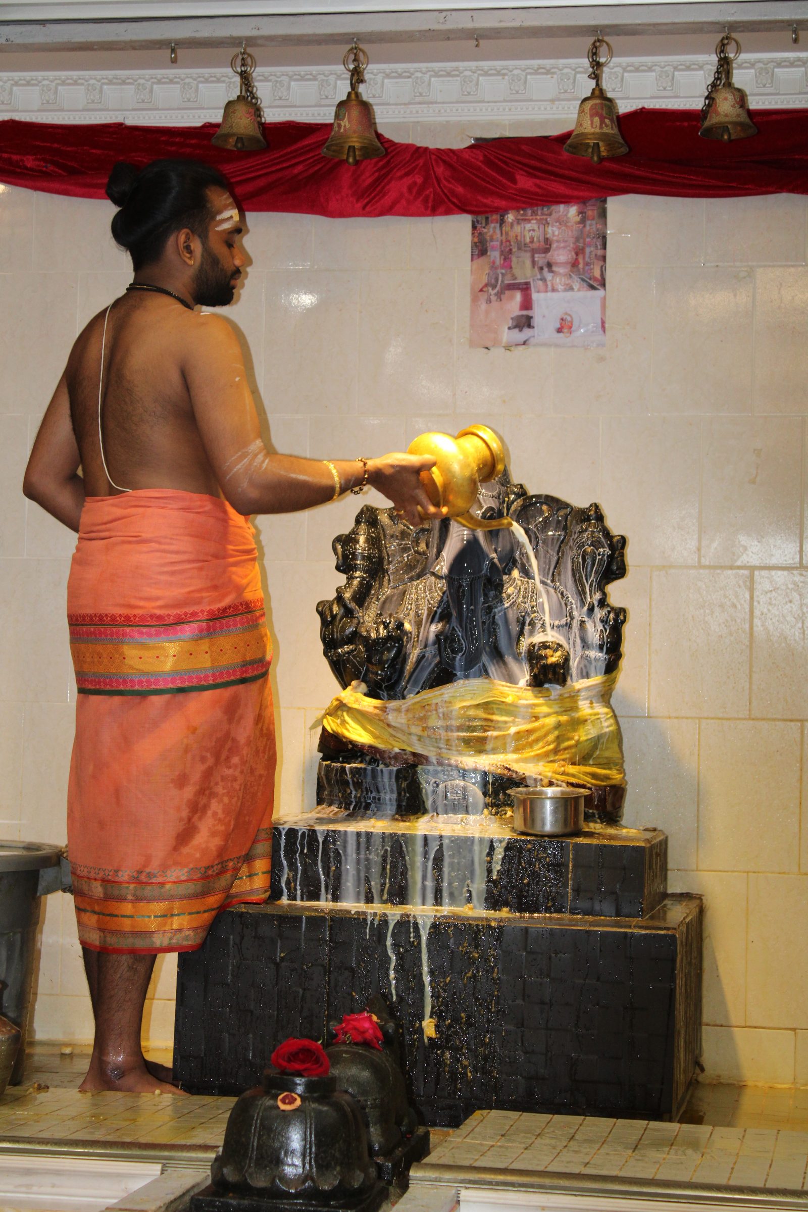 Festival 2024 photo