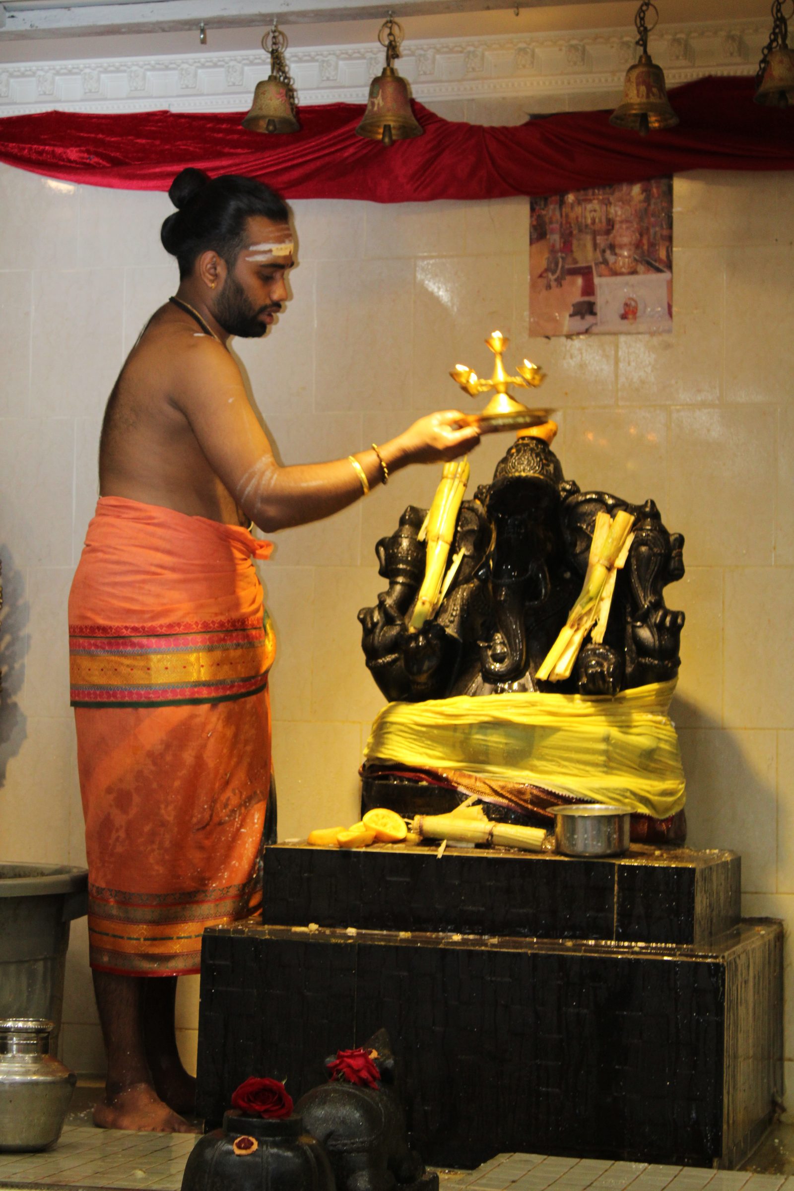 Festival 2024 photo