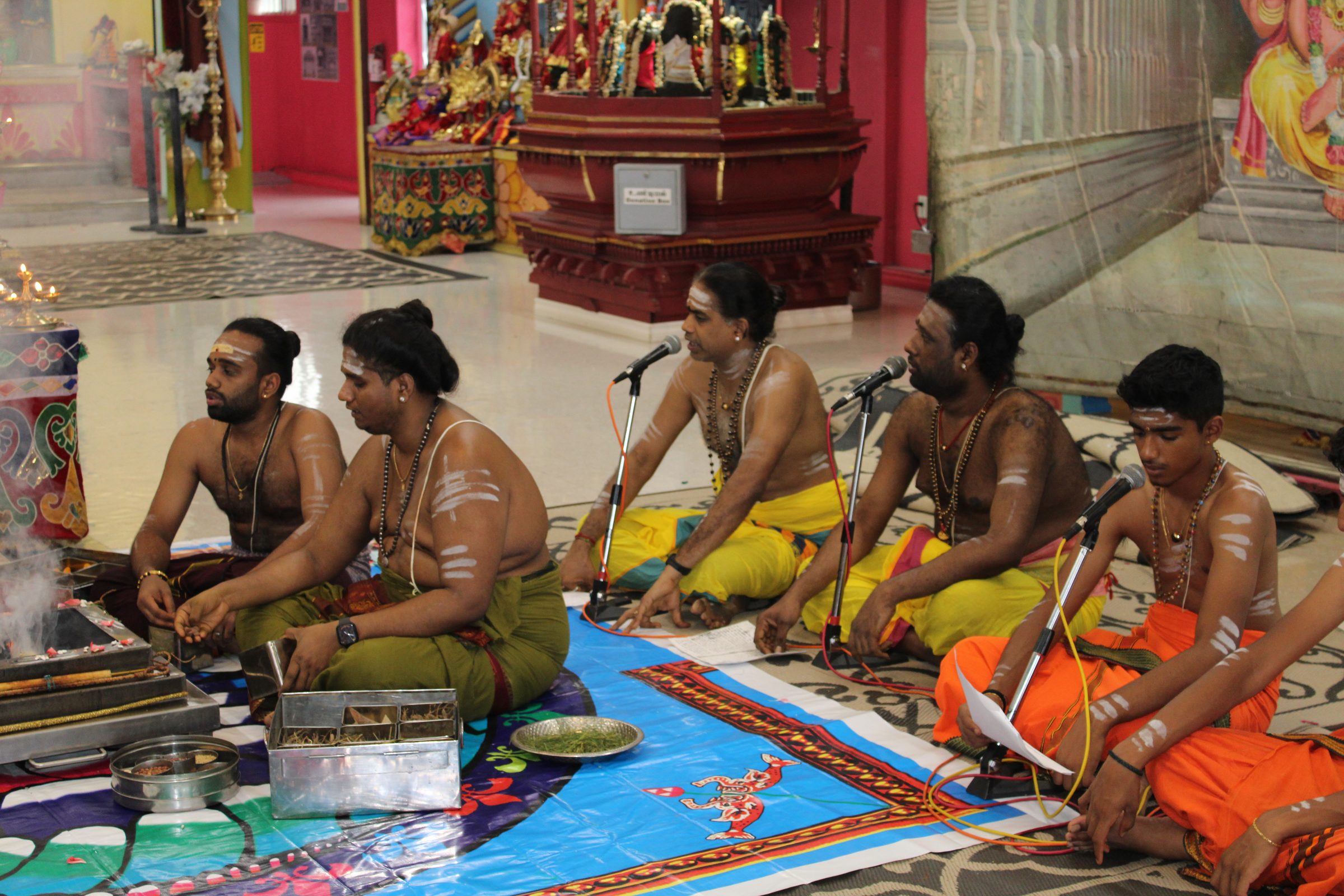 Festival 2024 photo