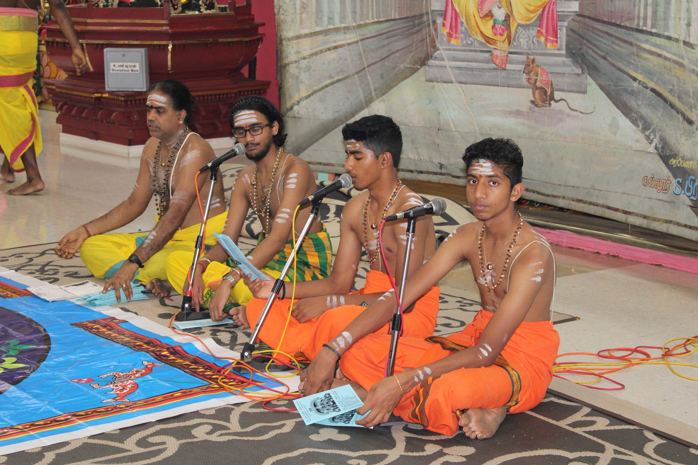 Festival 2024 photo
