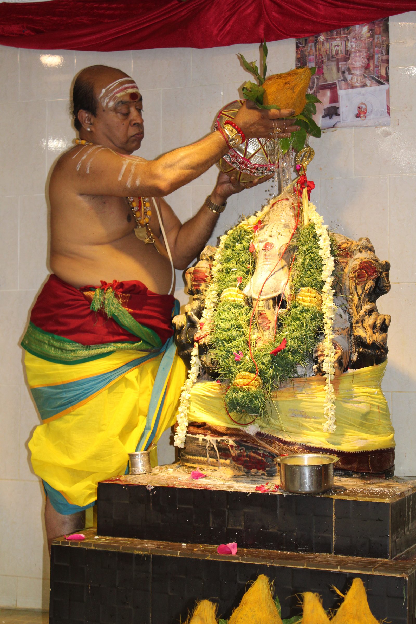 Festival 2024 photo