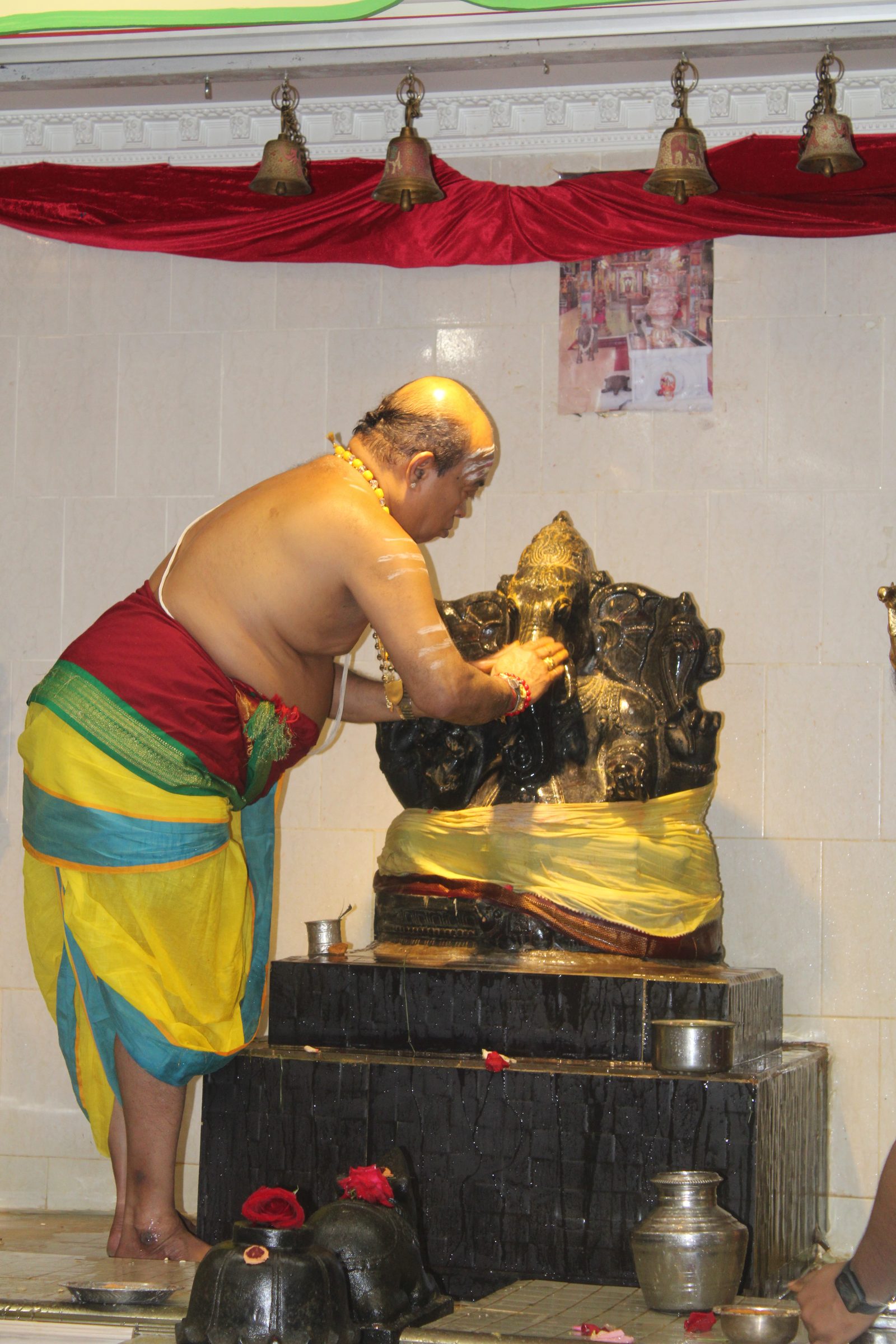 Festival 2024 photo