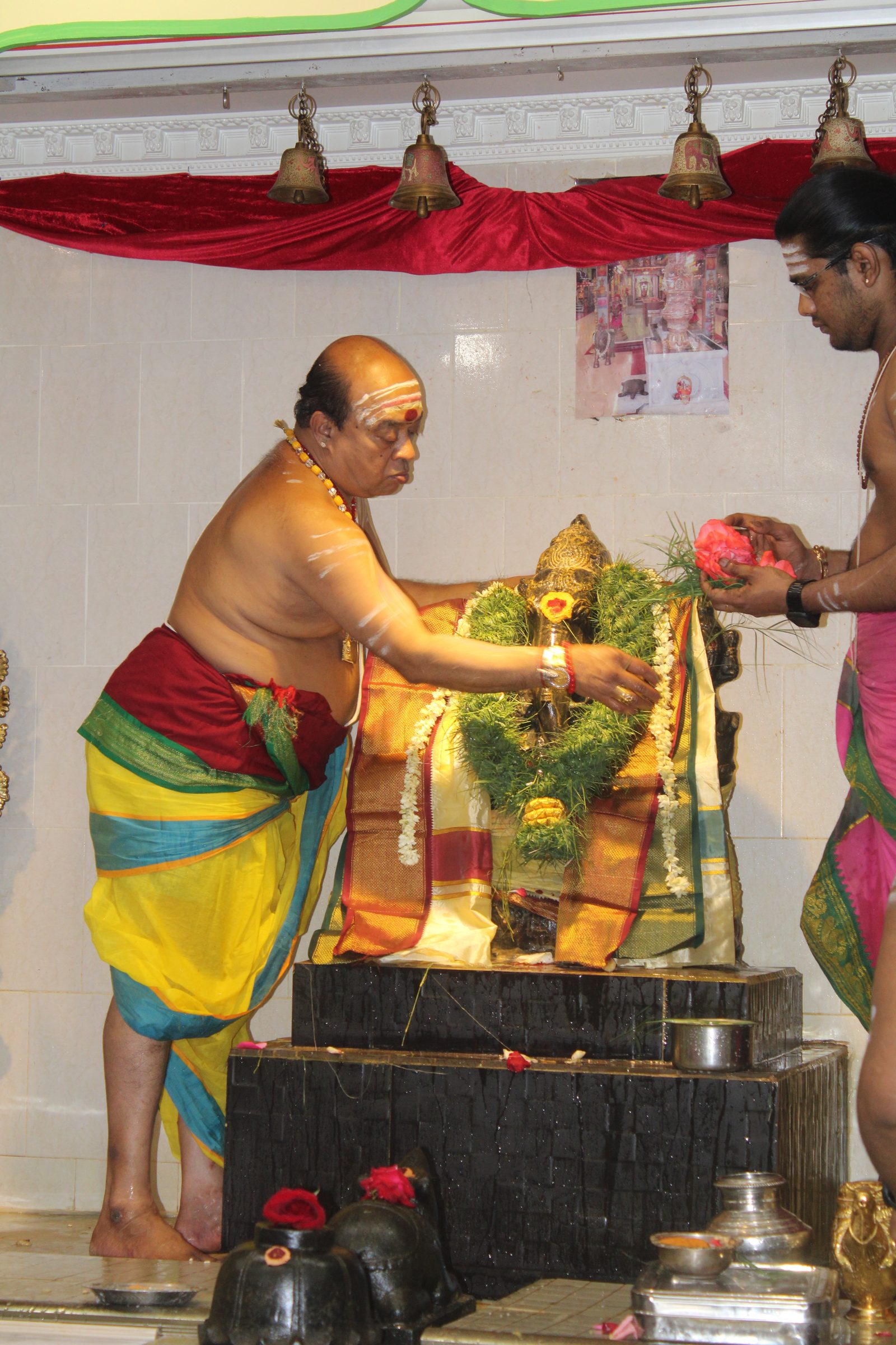 Festival 2024 photo