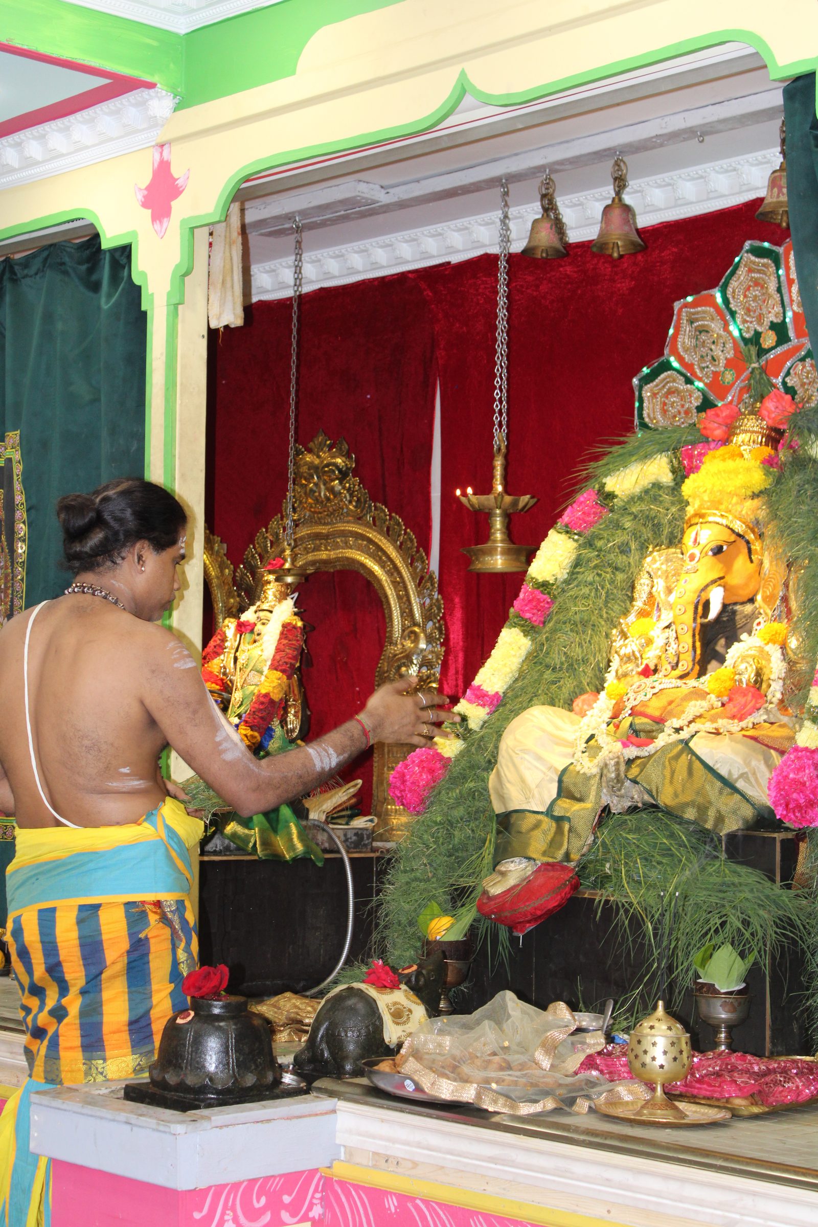 Festival 2024 photo