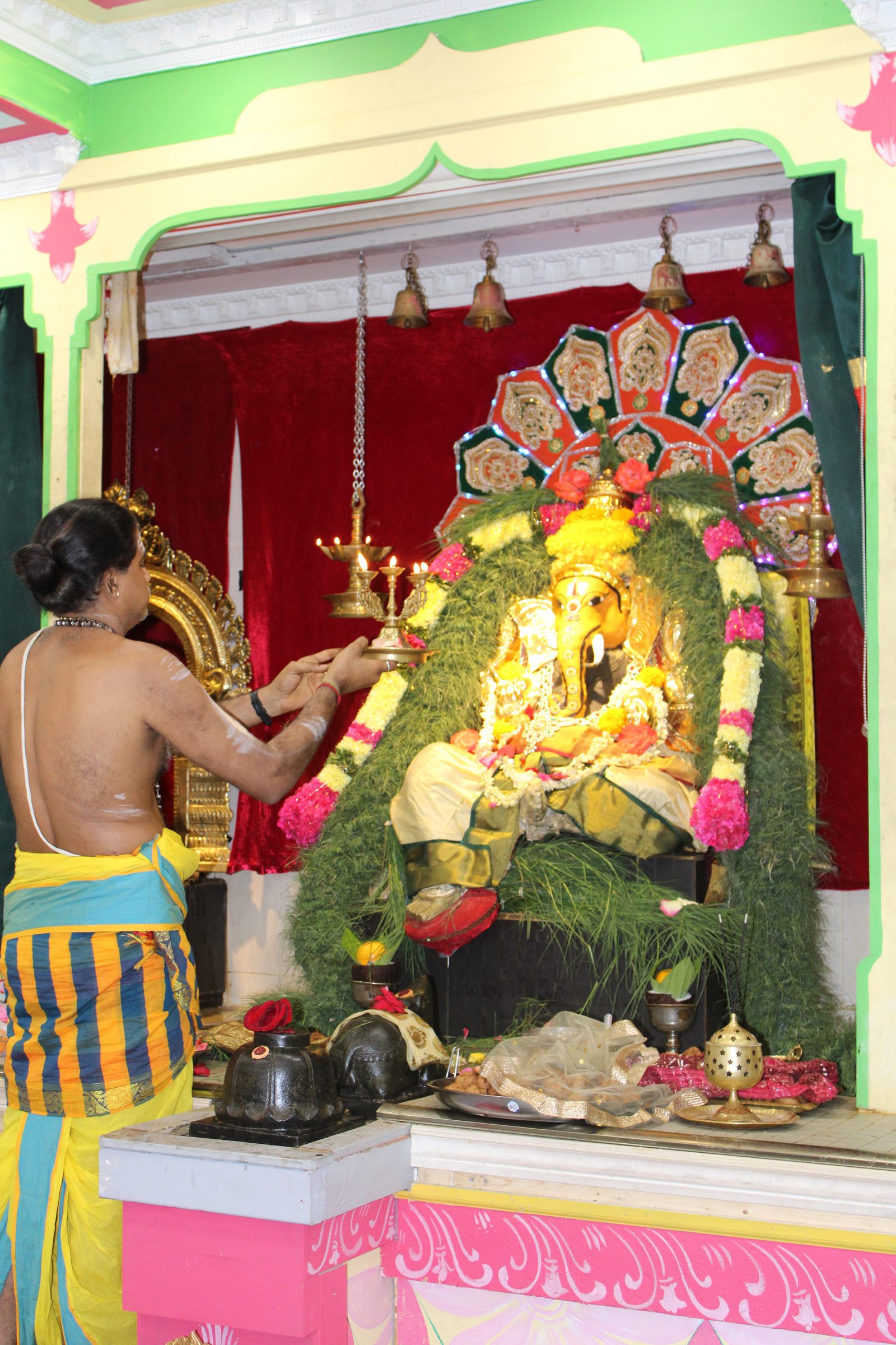 Festival 2024 photo