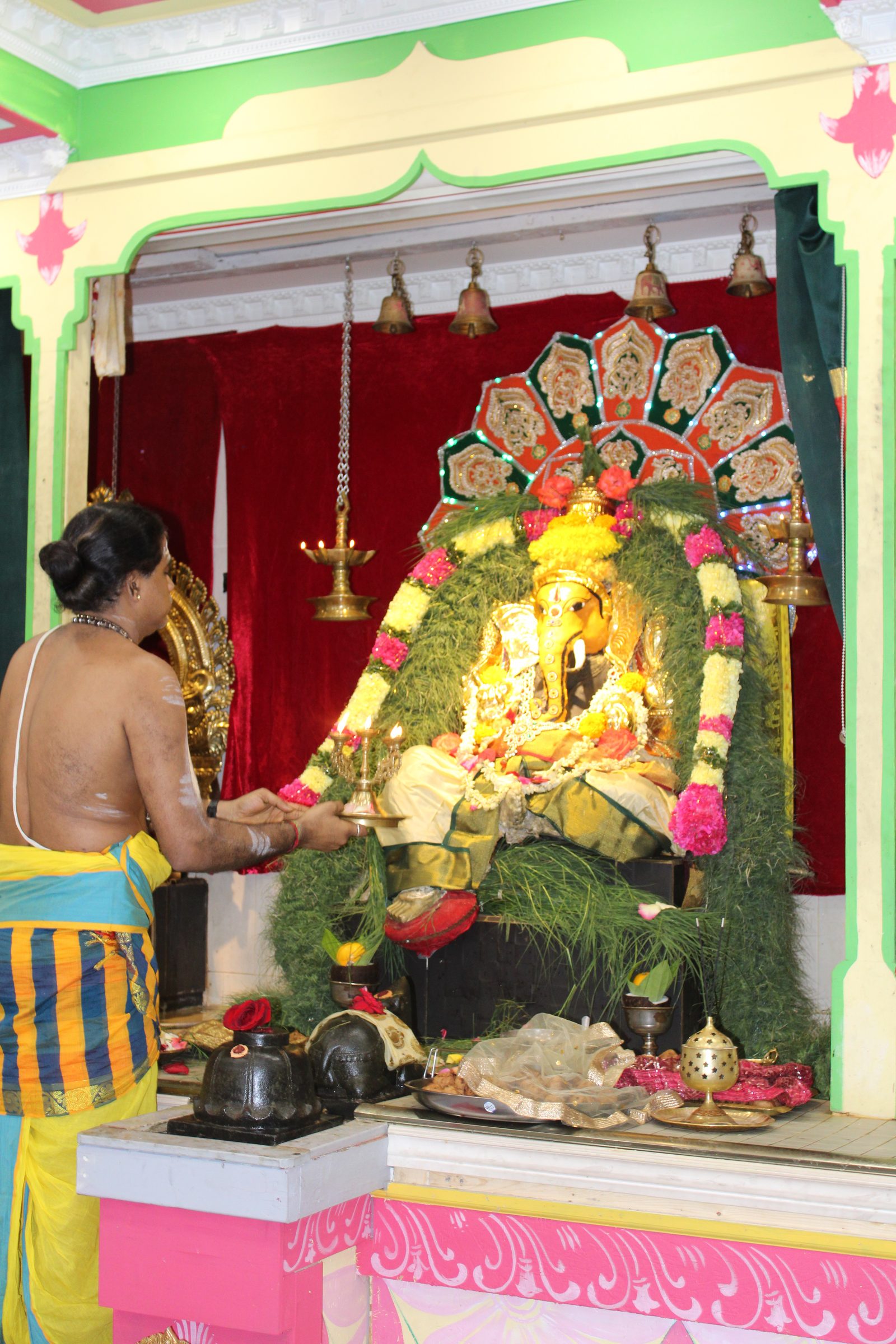 Festival 2024 photo