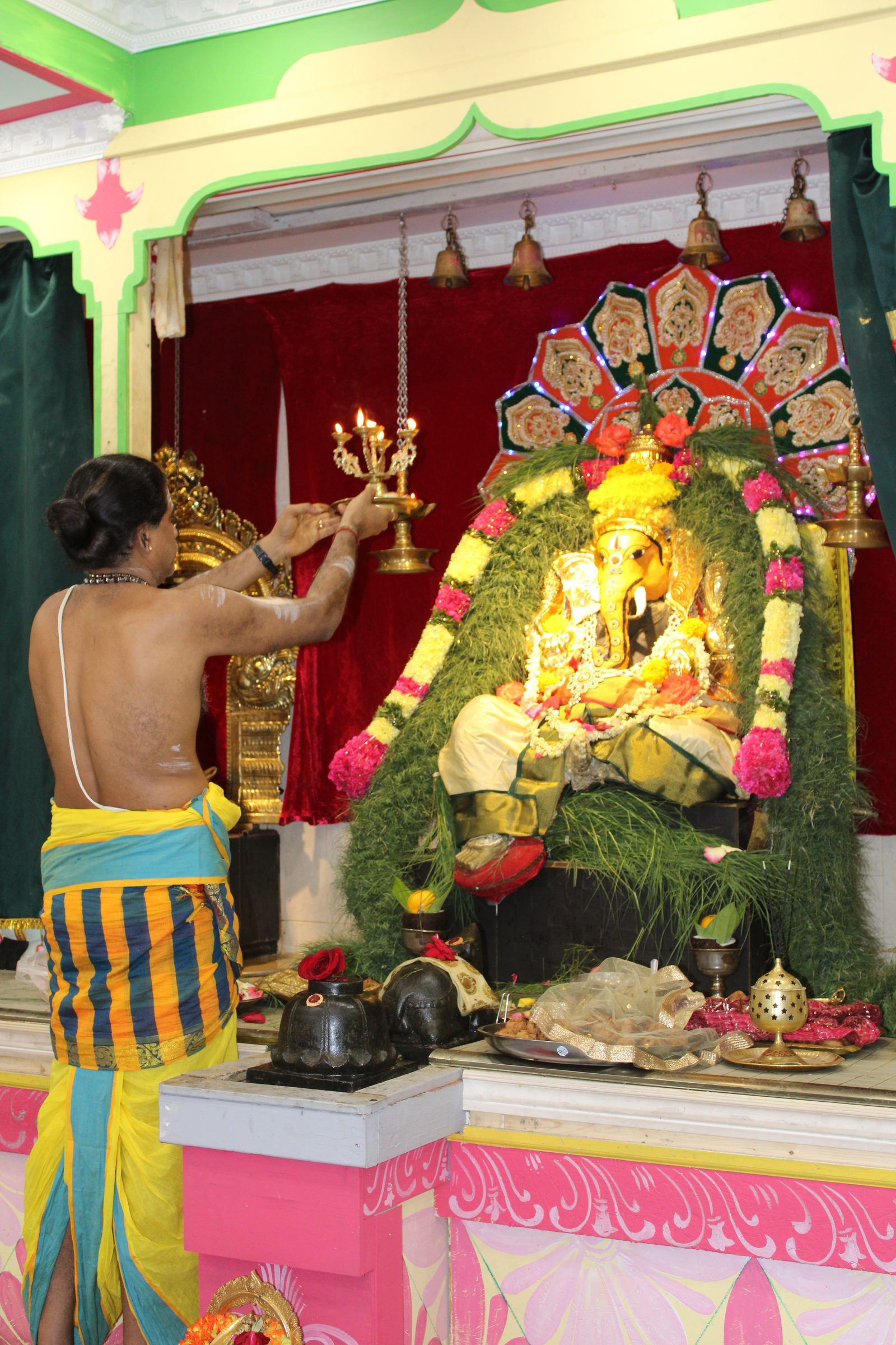 Festival 2024 photo