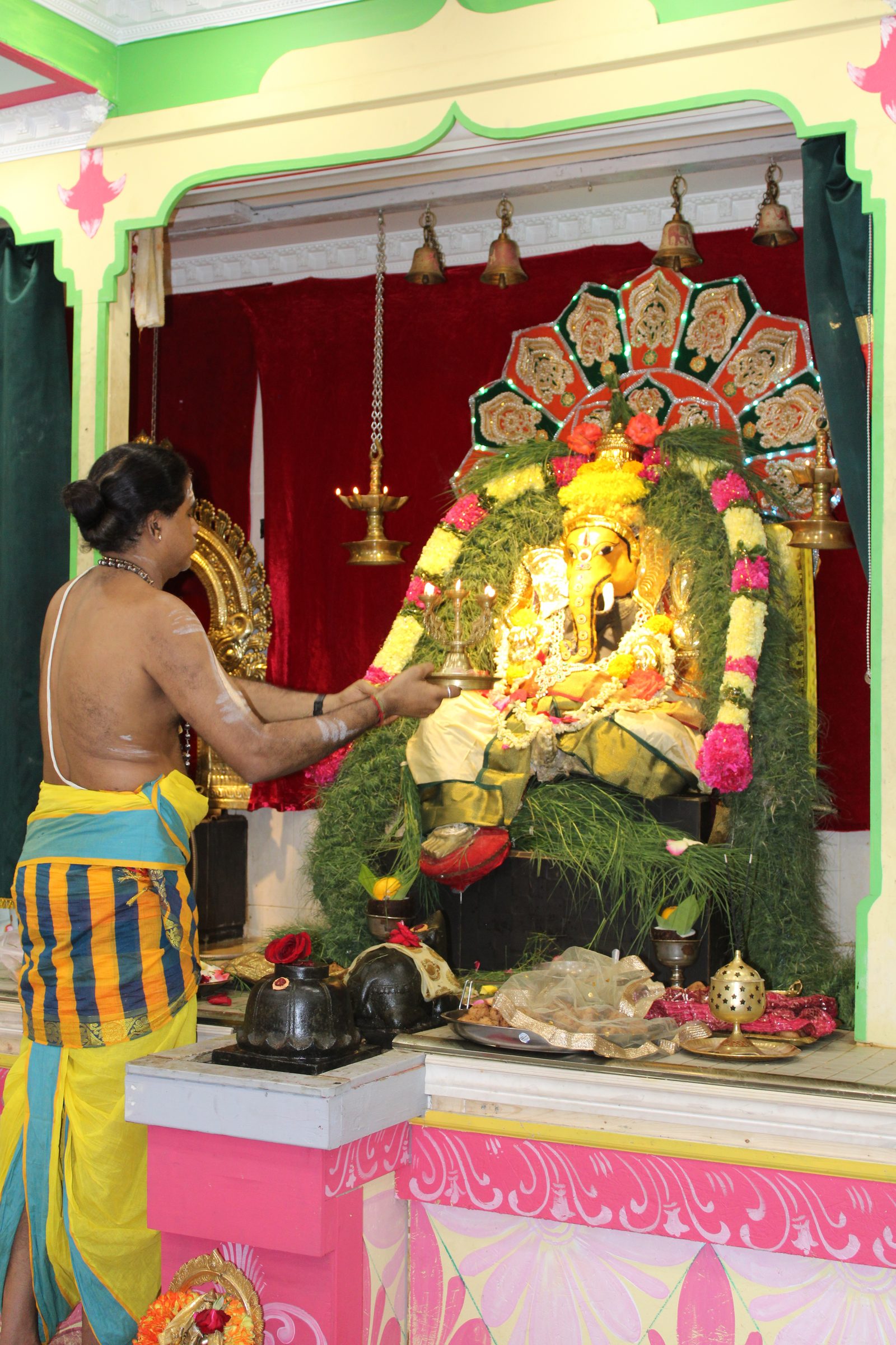 Festival 2024 photo