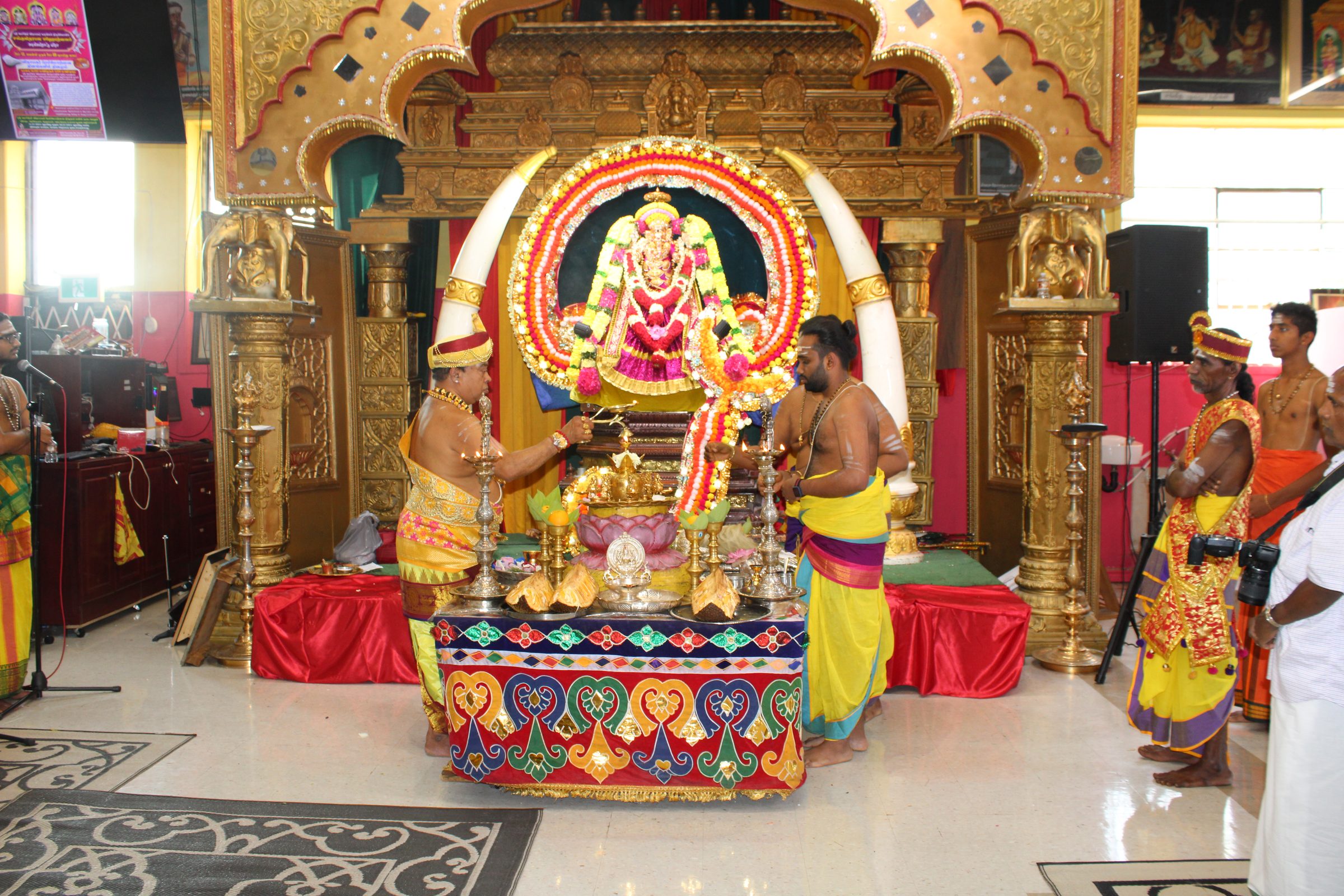 Festival 2024 photo