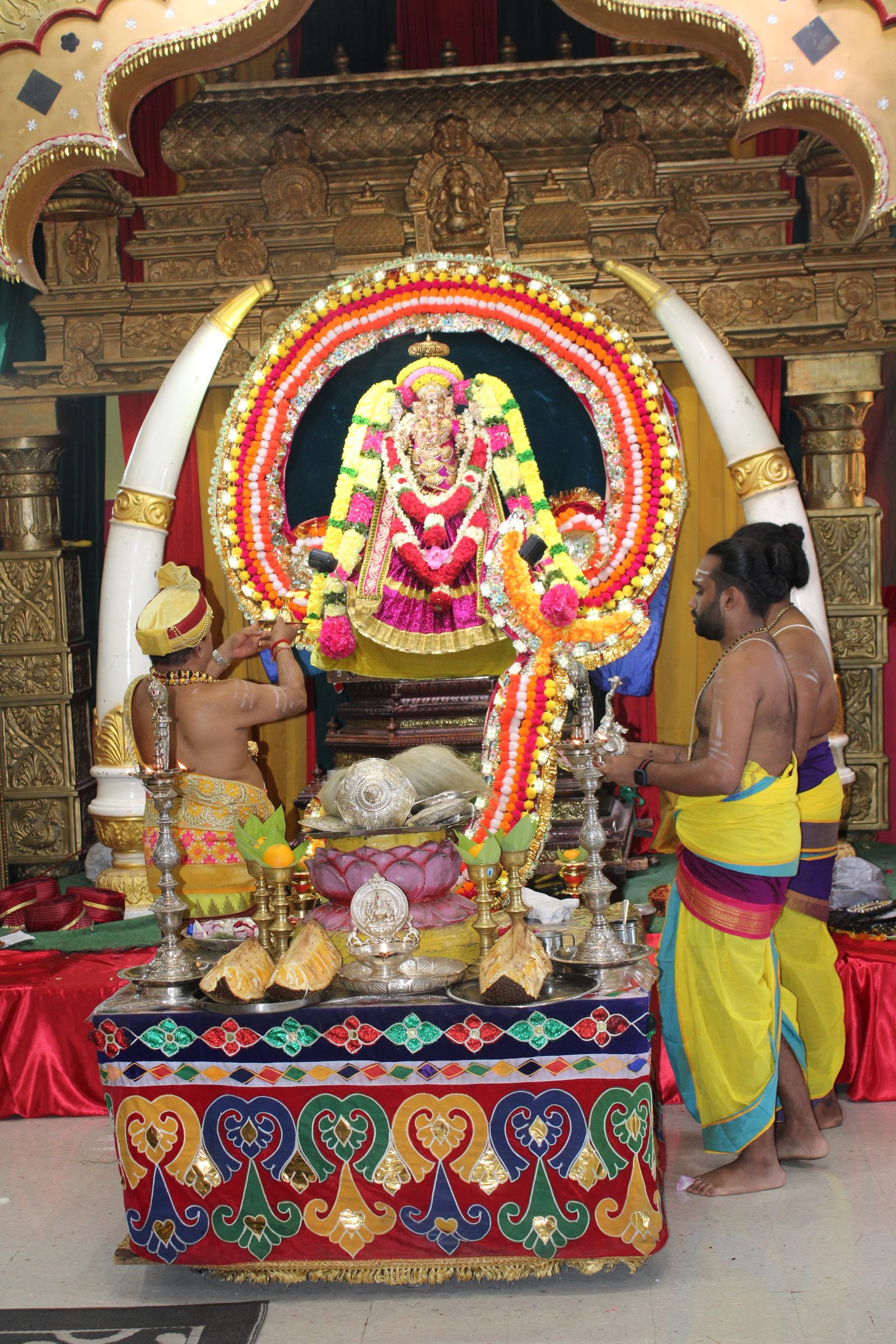 Festival 2024 photo