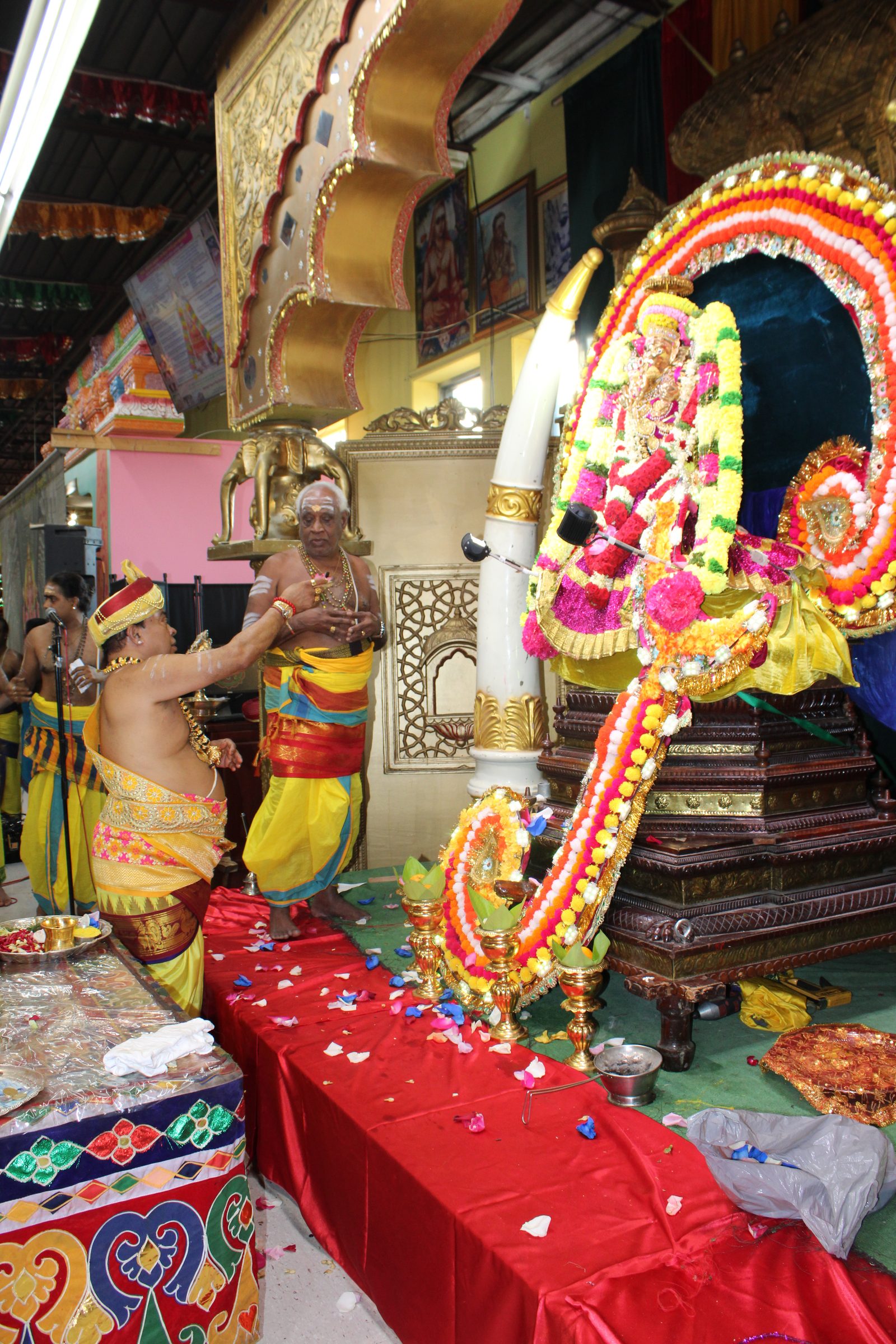 Festival 2024 photo